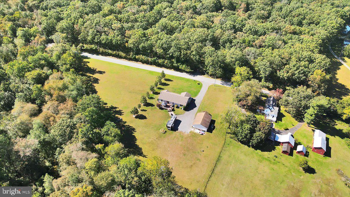 354 Alvine Rd
