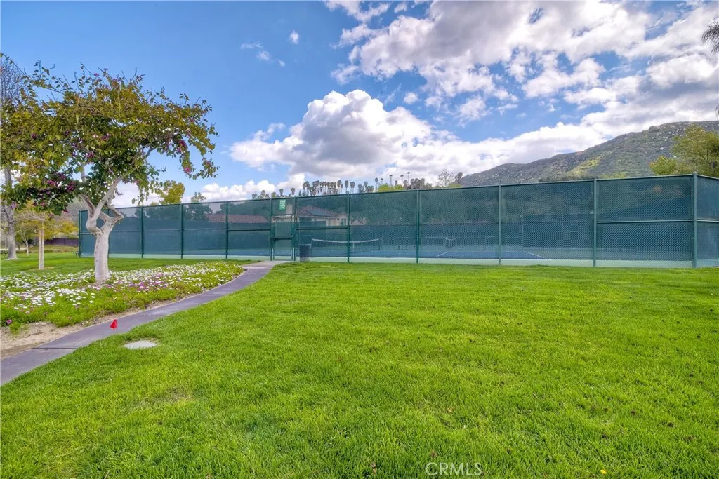 5091 Avocado Park Lane