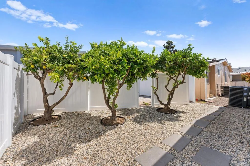 3473 Don Ortega Drive