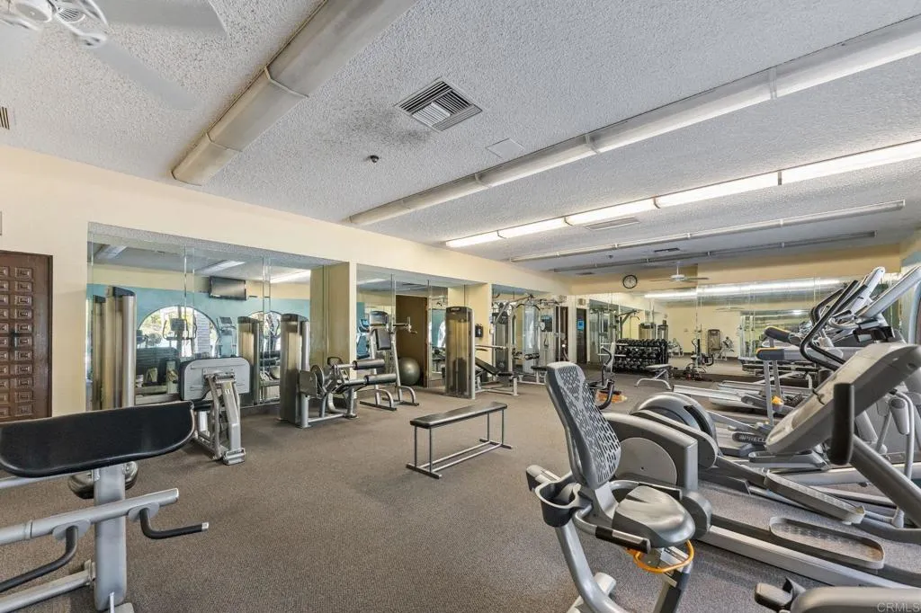 3473 Don Ortega Drive