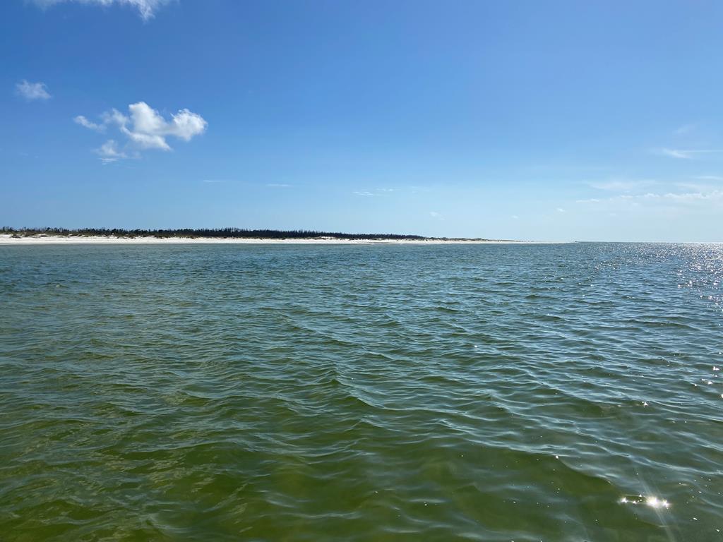 617 Garrison Ave, Port St. Joe 32456
