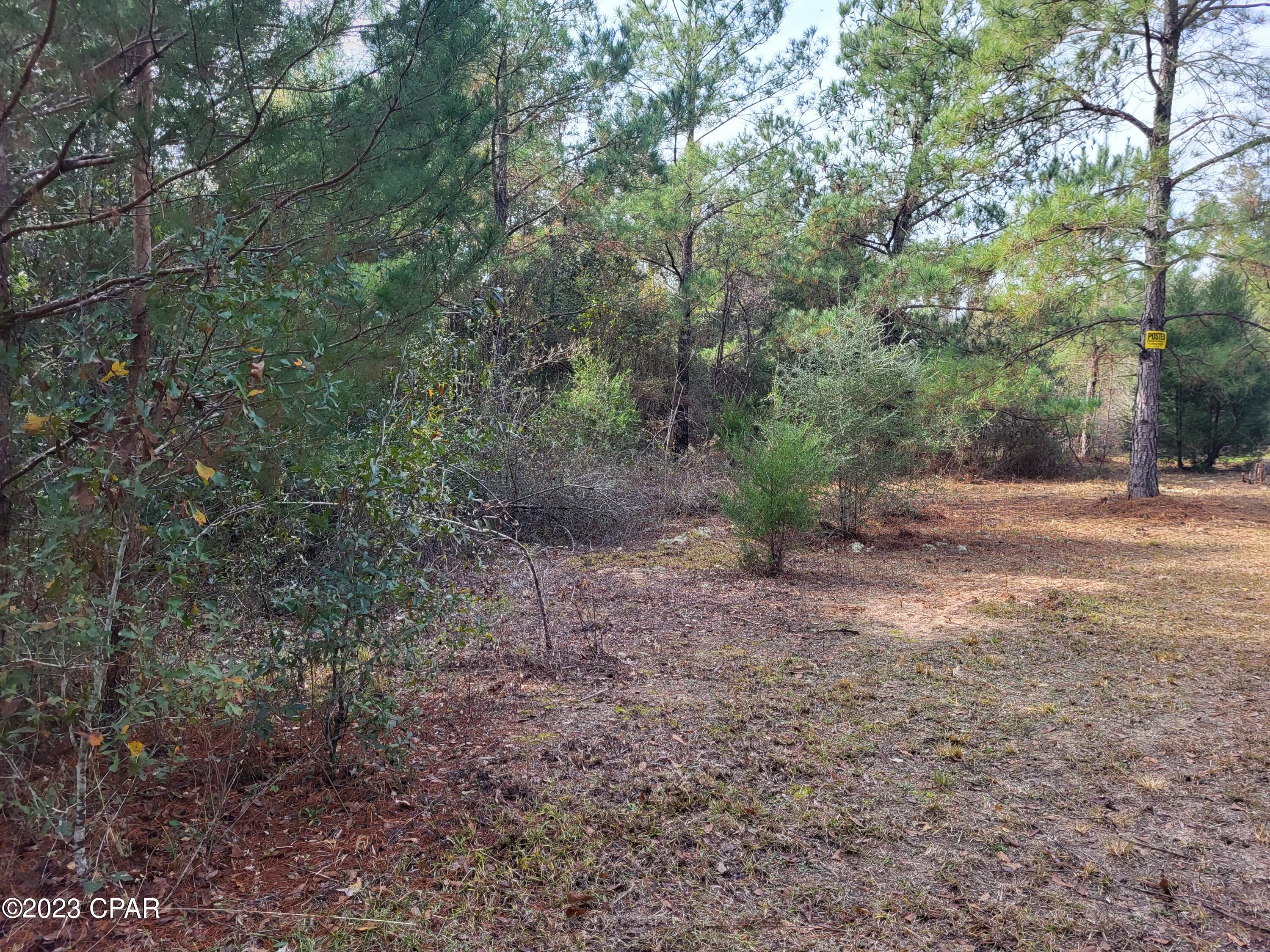 22-2N-1000 NW White Pond Road Lot 10
