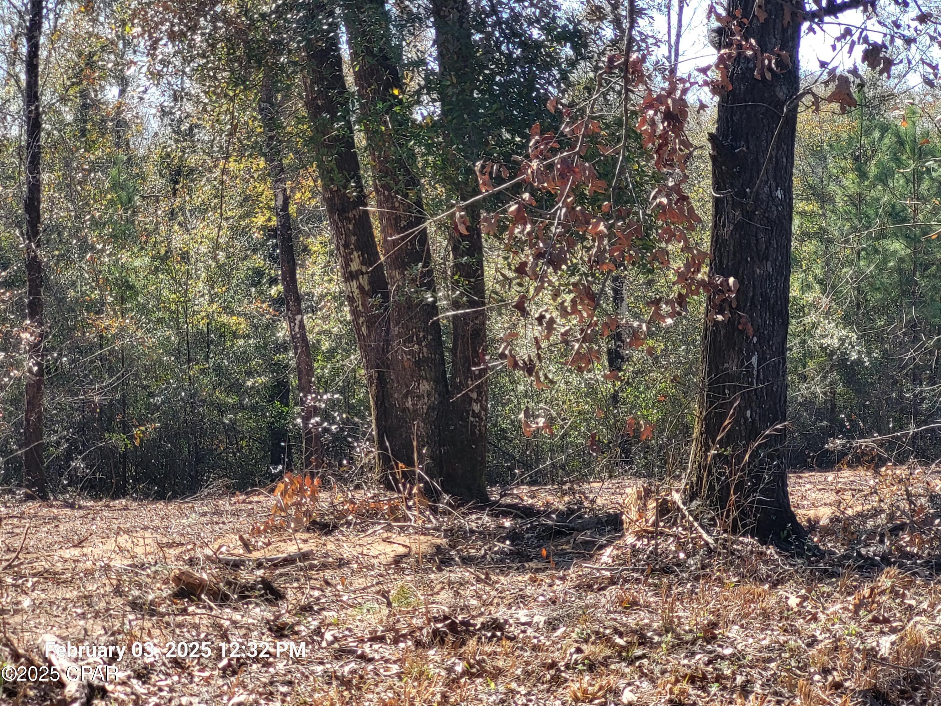 22-2N-1000 NW White Pond Road Lot 10