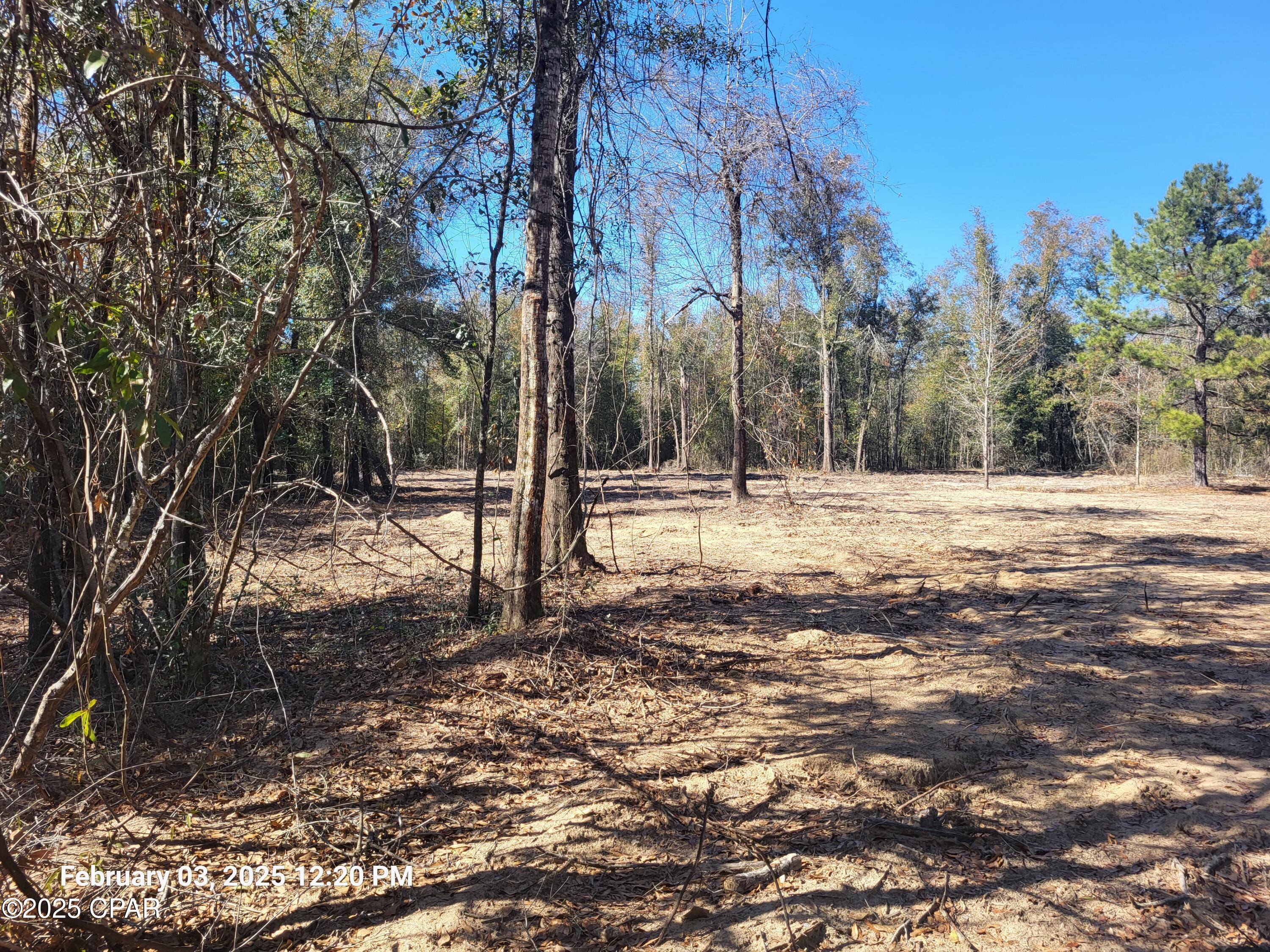 22-2N-1000 NW White Pond Road Lot 10