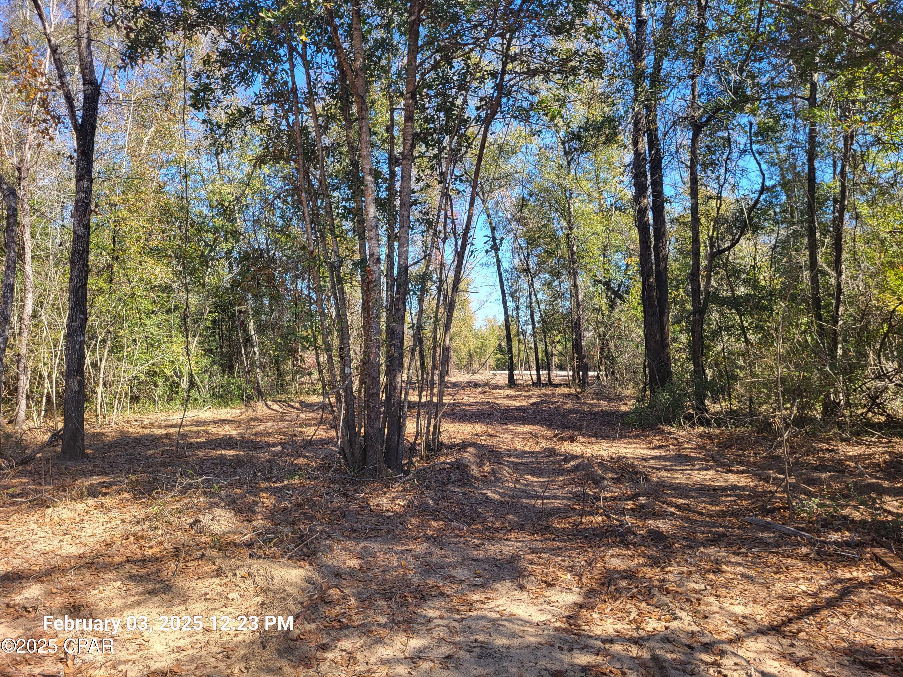 22-2N-1000 NW White Pond Road Lot 10