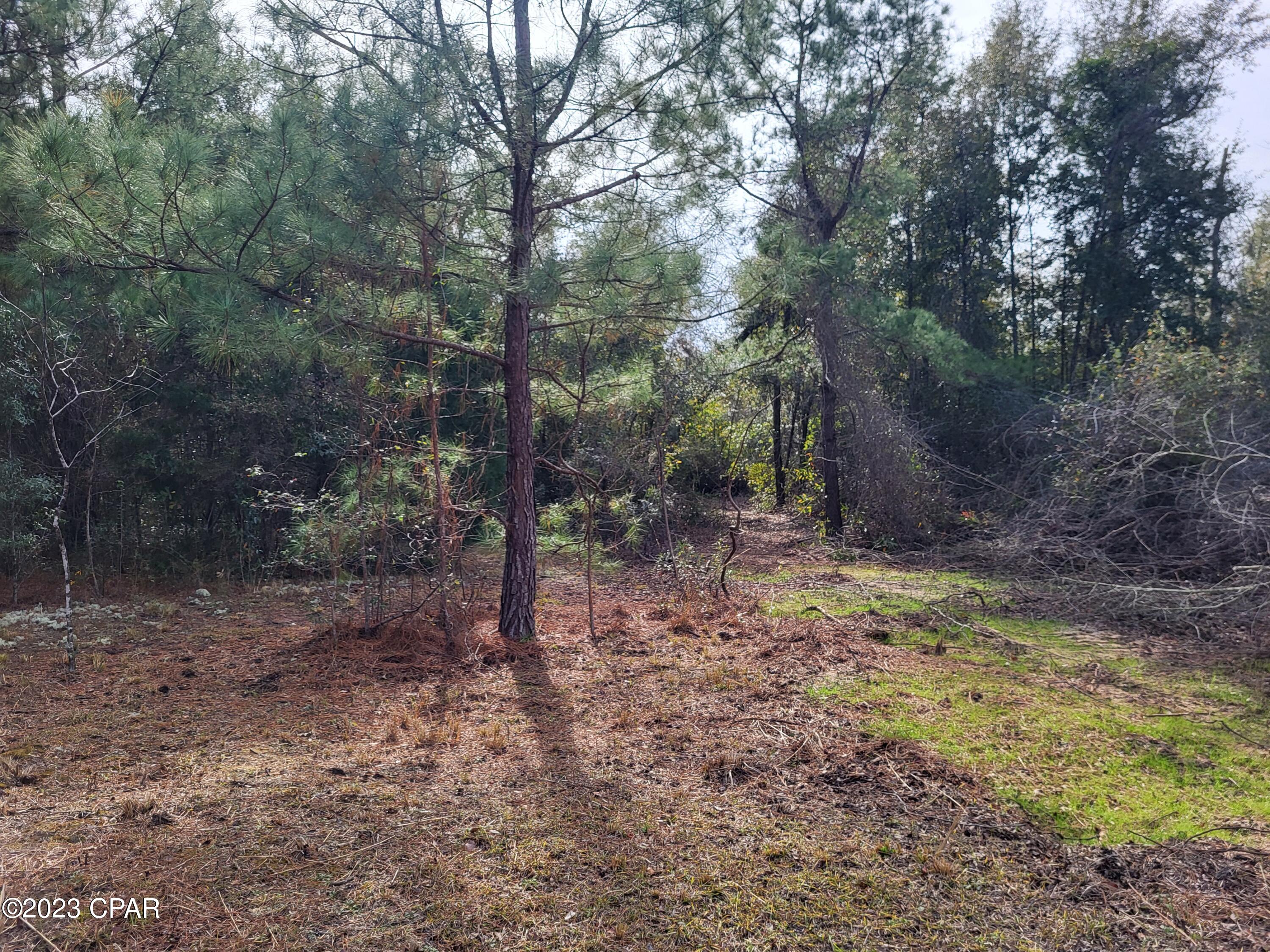 22-2N-1000 NW White Pond Road Lot 10