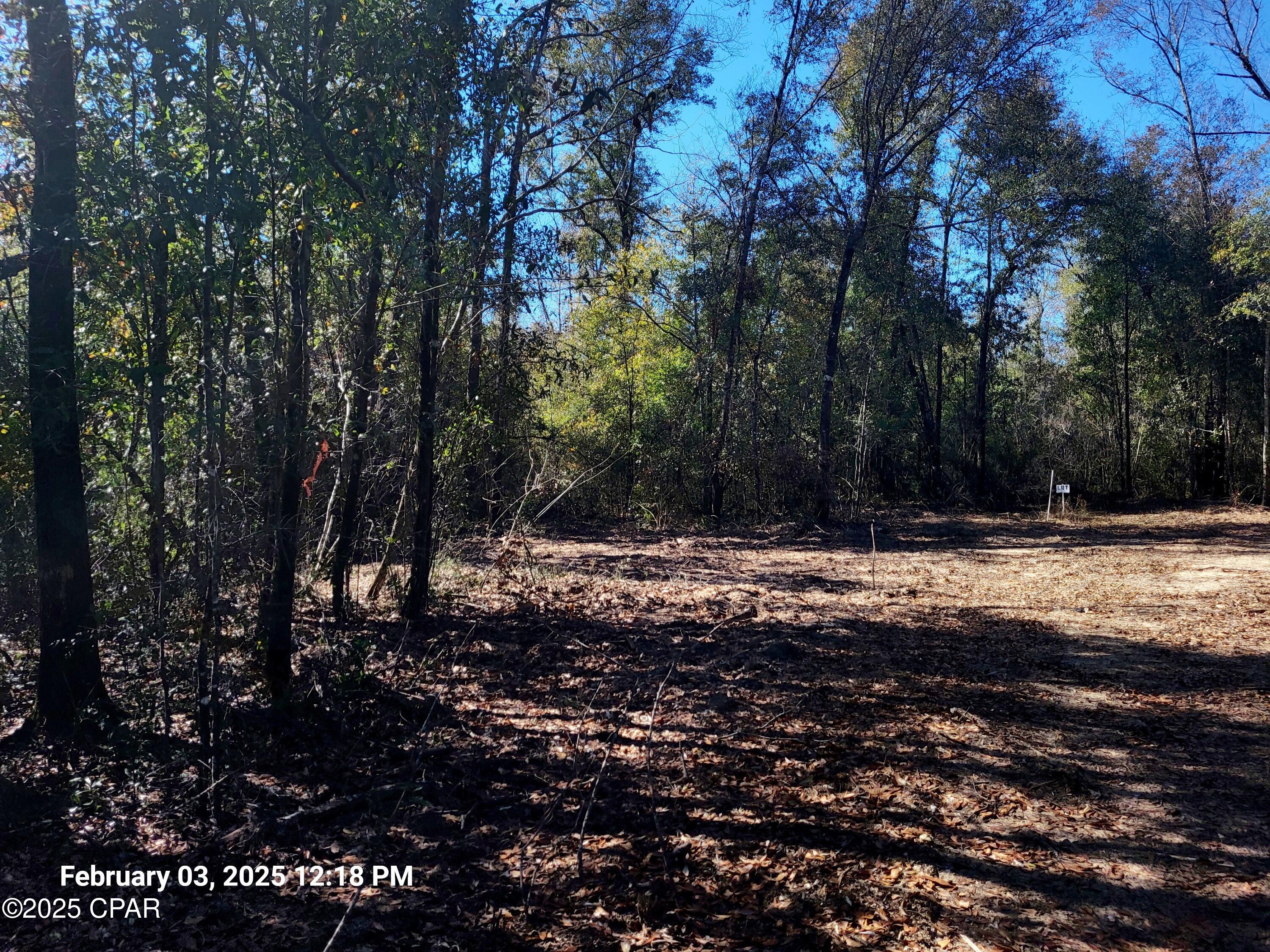 22-2N-1000 NW White Pond Road Lot 10