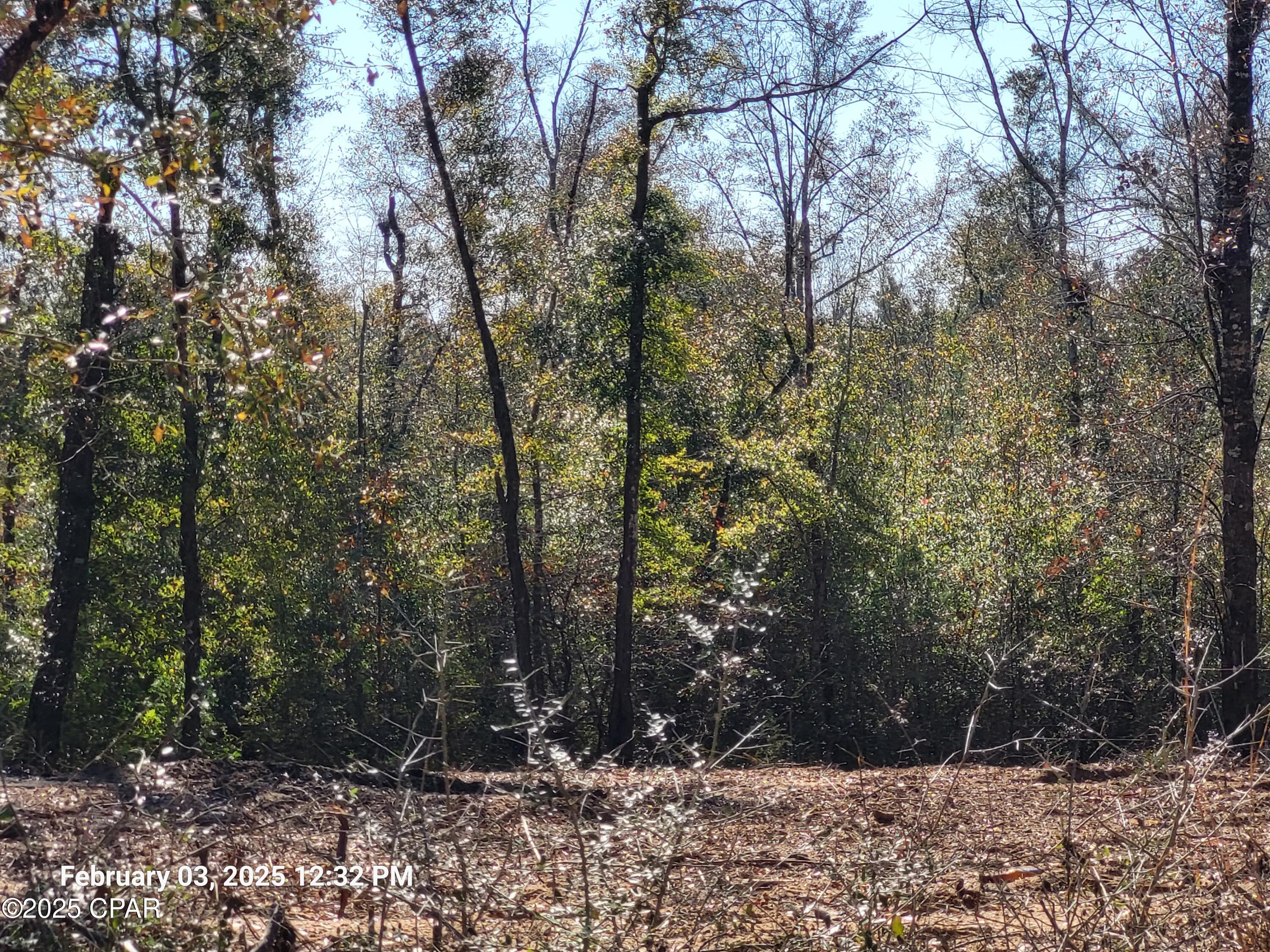 22-2N-1000 NW White Pond Road Lot 10