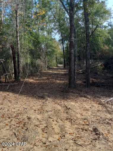22-2N-1000 NW White Pond Road Lot 10