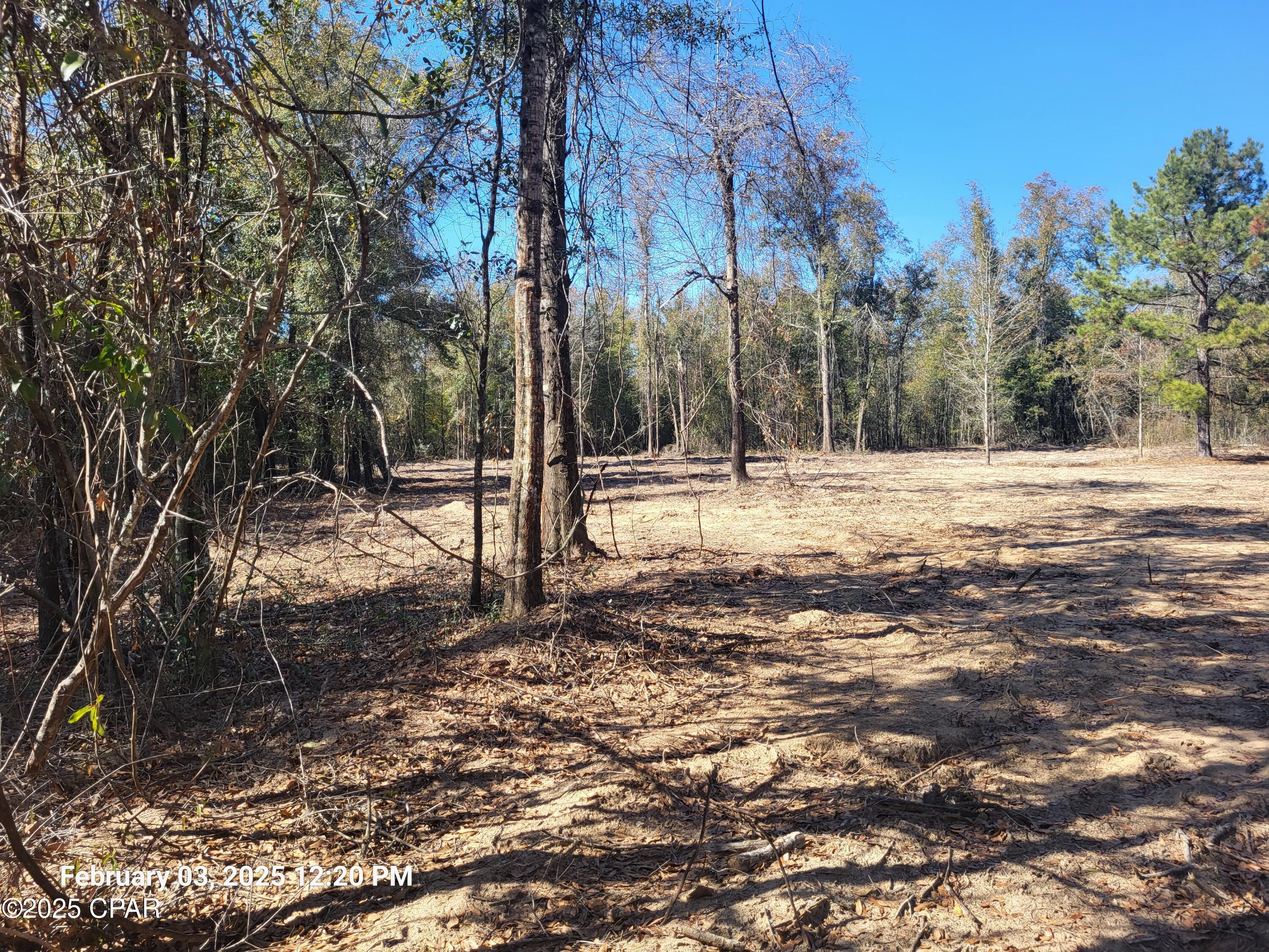 22-2N-1000 NW White Pond Road Lot 10