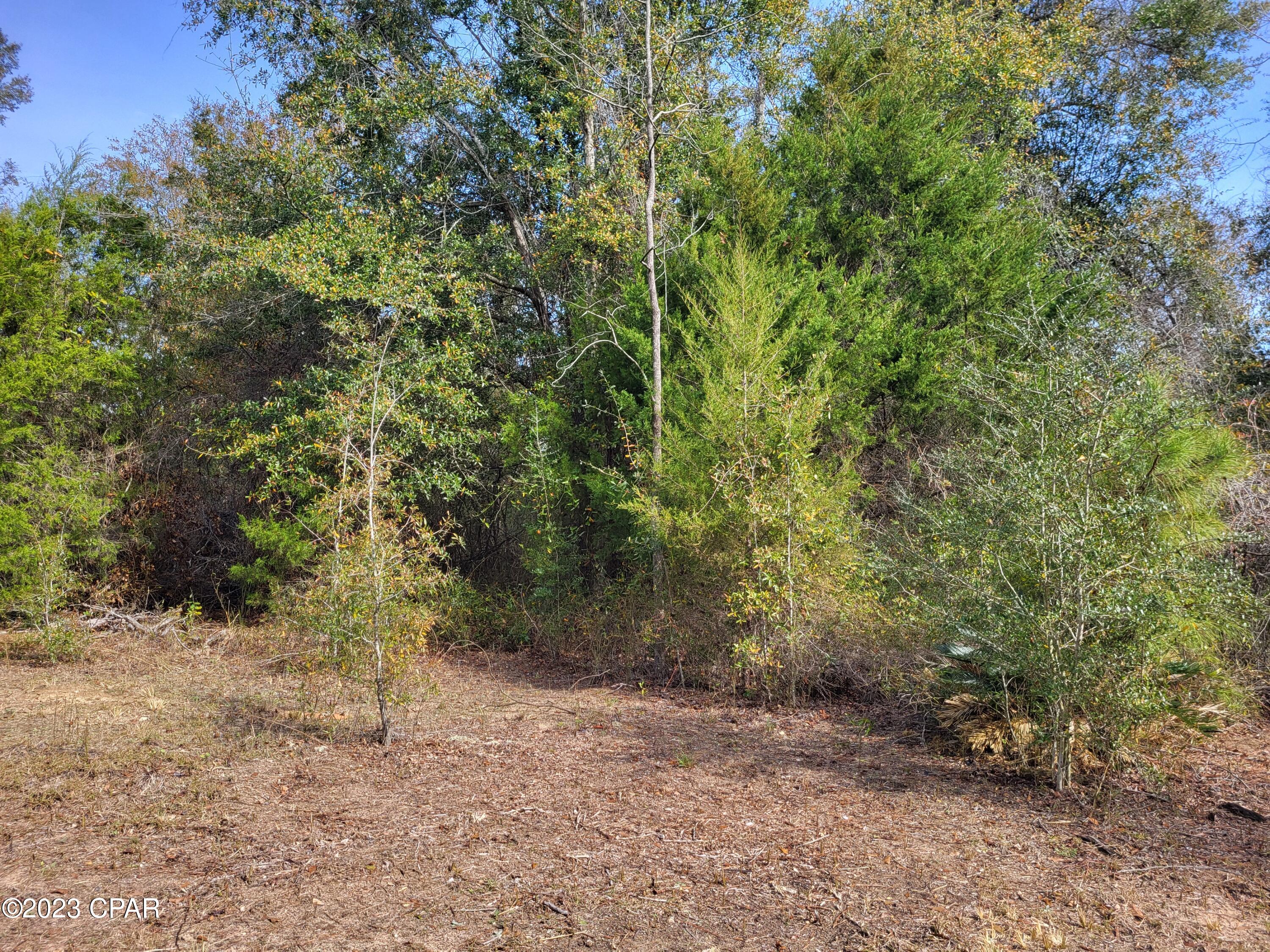 22-2N-1000 NW White Pond Road Lot 10