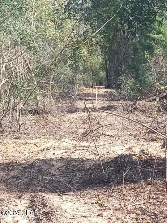 22-2N-1000 NW White Pond Road Lot 10