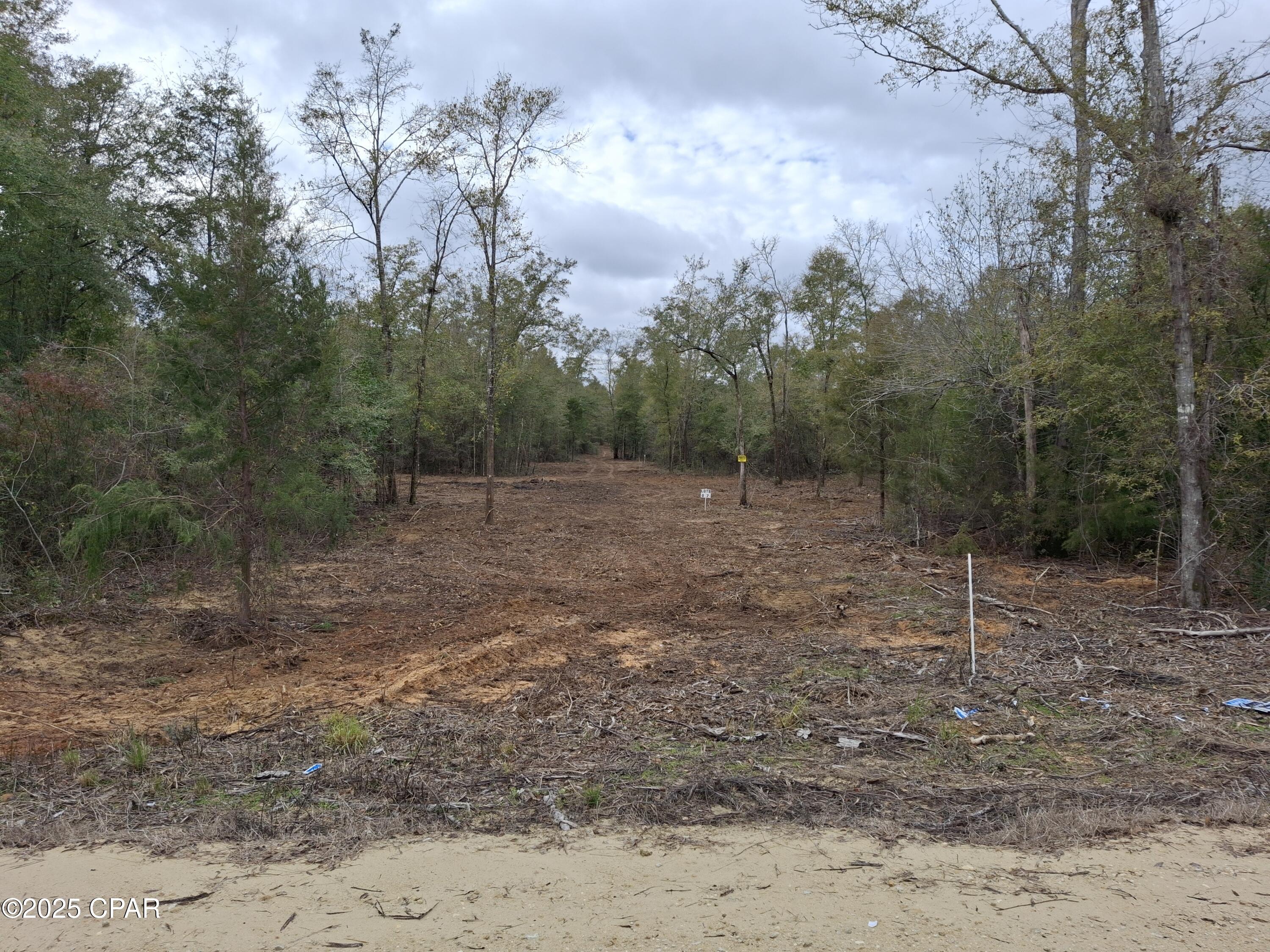 22-2N-1000 NW White Pond Road Lot 10