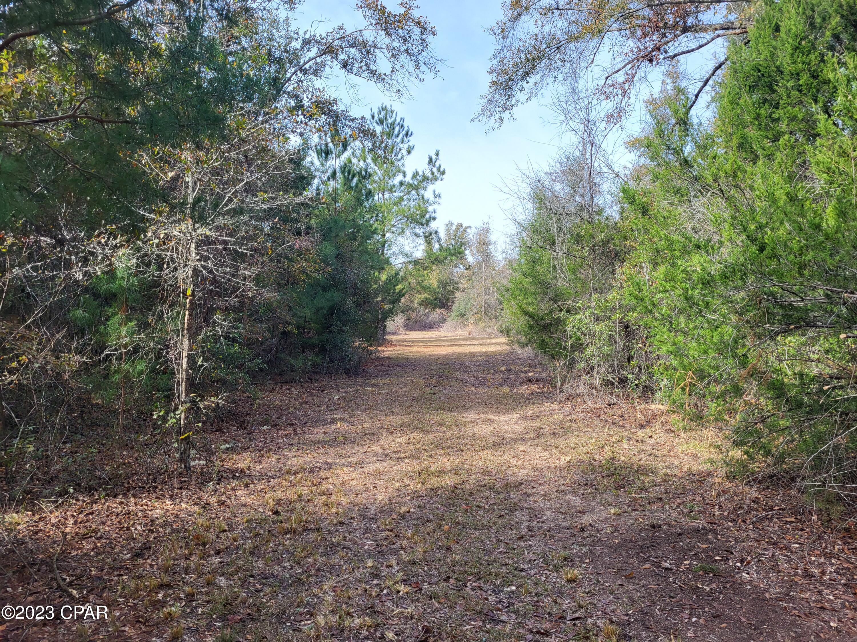 22-2N-1000 NW White Pond Road Lot 10