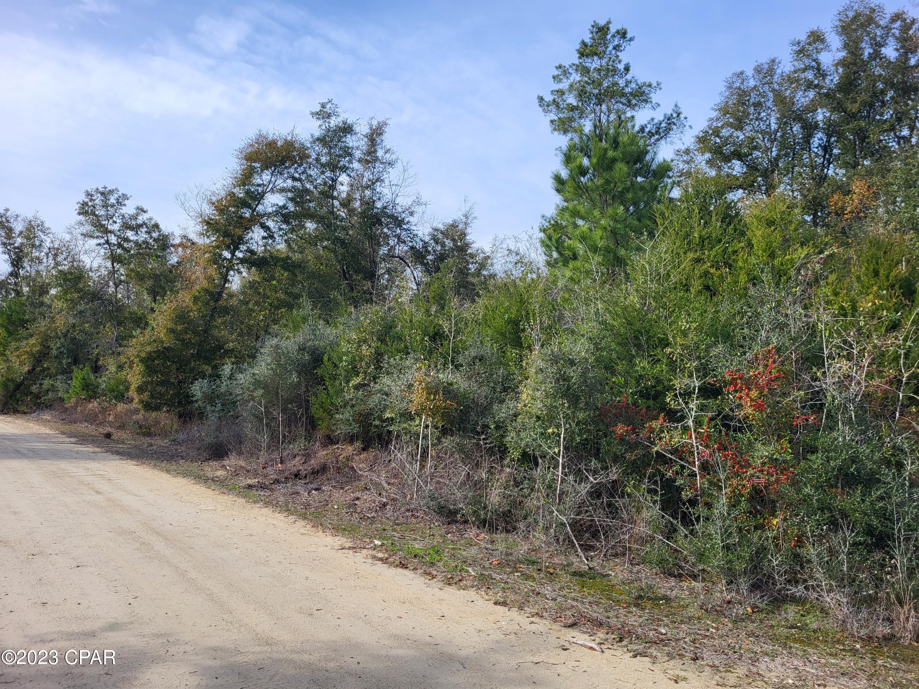 22-2N-1000 NW White Pond Road Lot 10