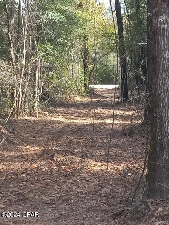 22-2N-1000 NW White Pond Road Lot 10