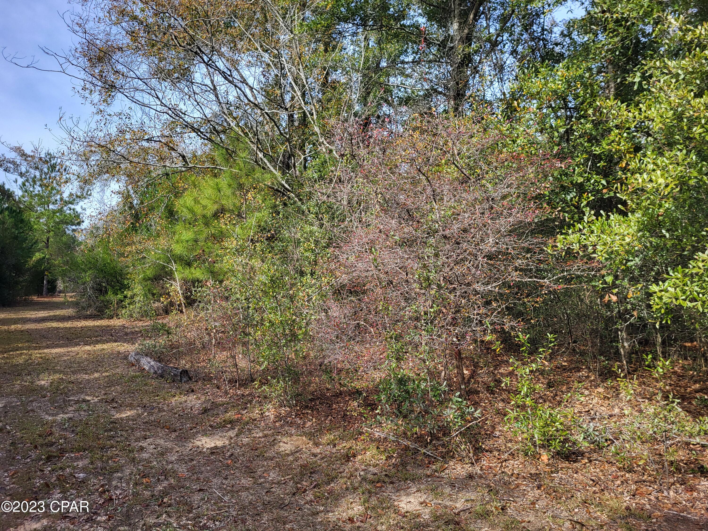 22-2N-1000 NW White Pond Road Lot 10