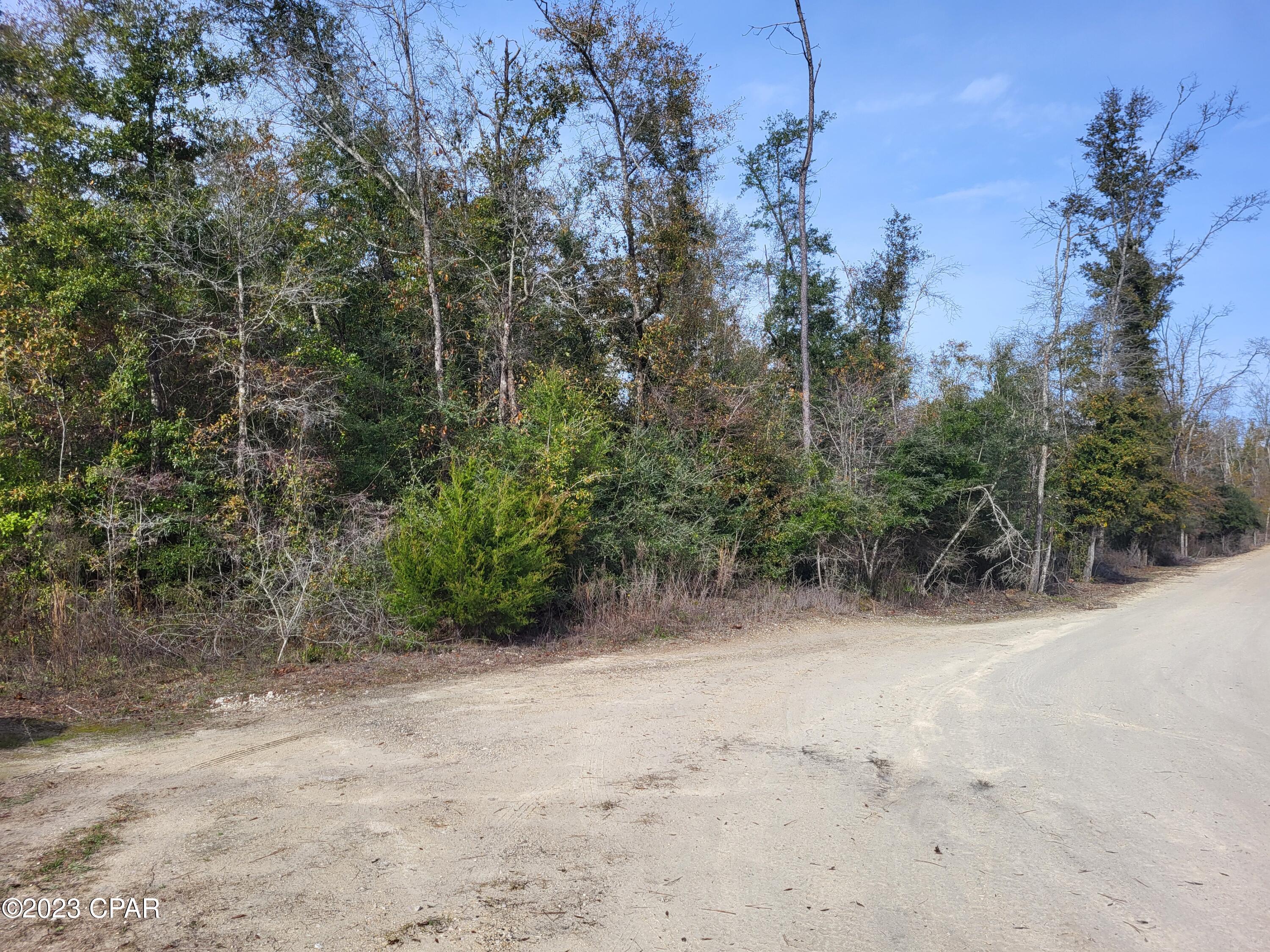22-2N-1000 NW White Pond Road Lot 10