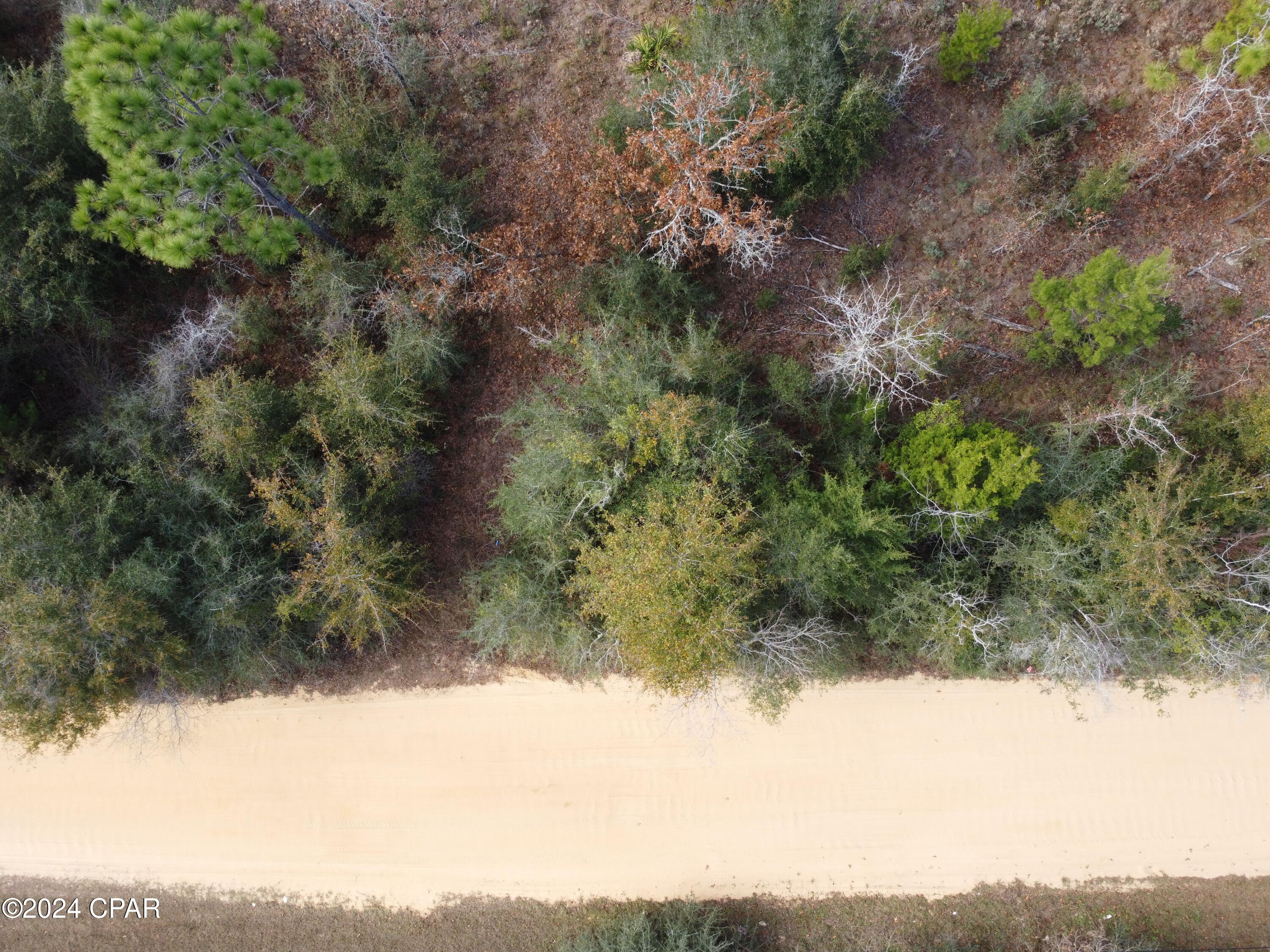 XXX Sandstone