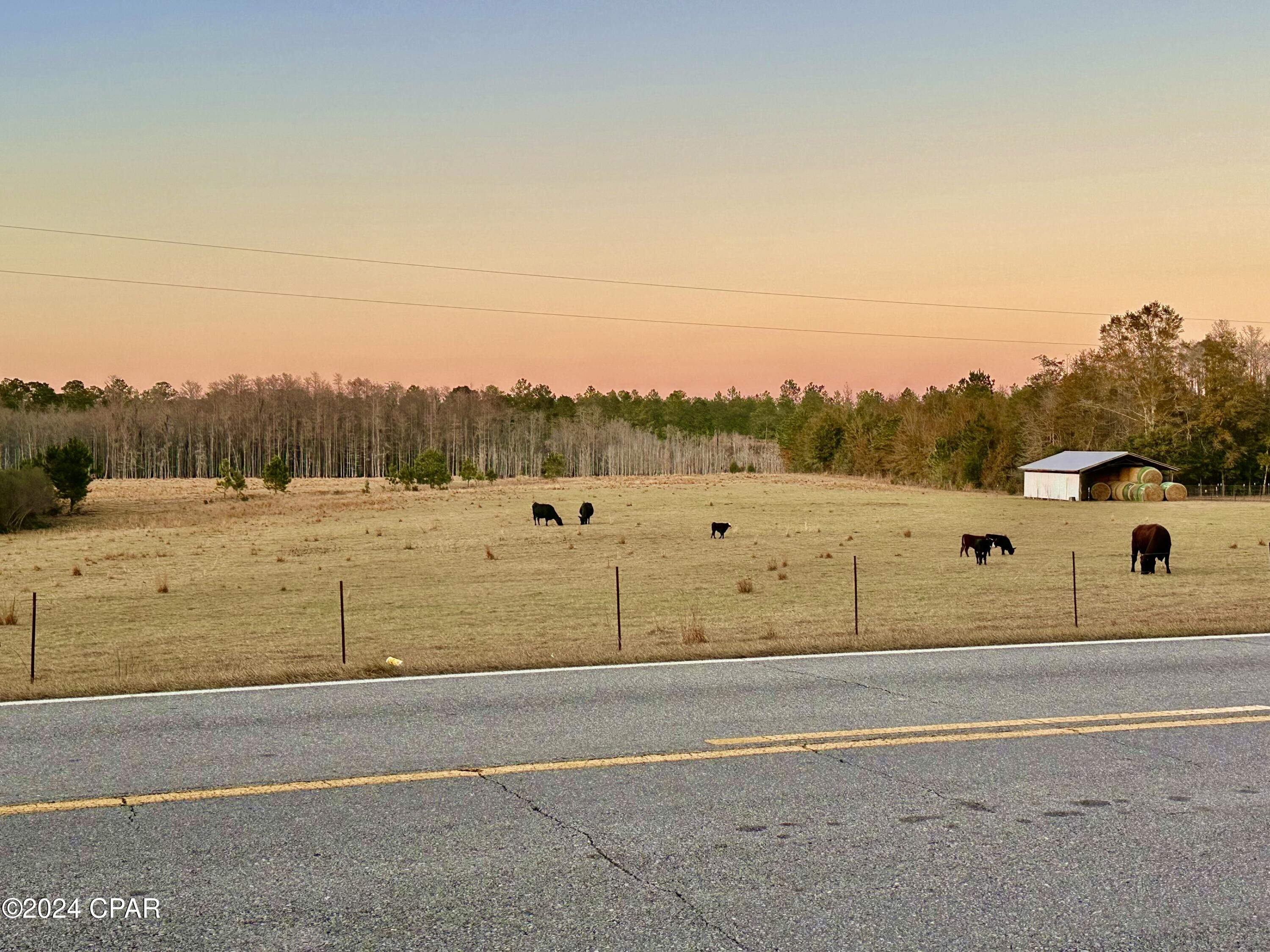 2359 Pioneer Road