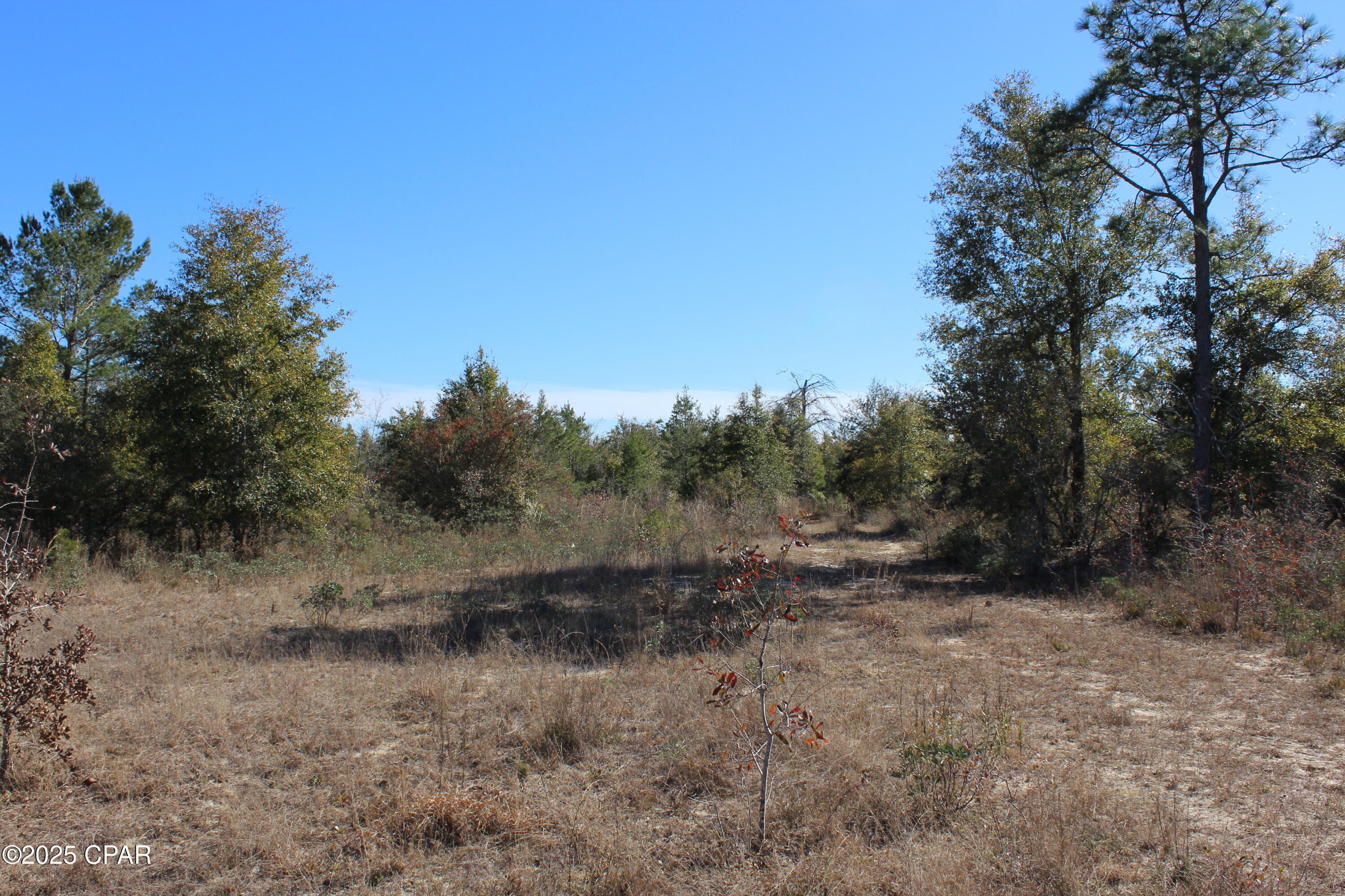 TBD Holmes Valley Road