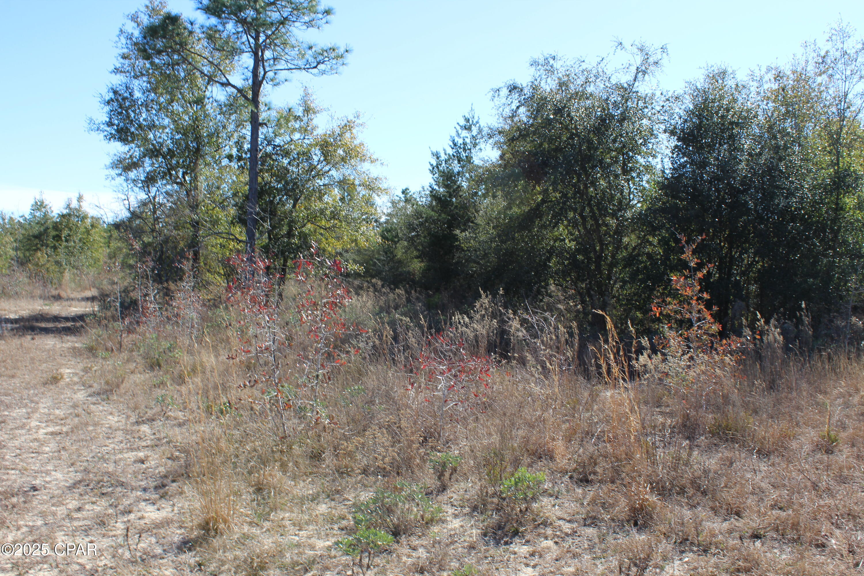 TBD Holmes Valley Road