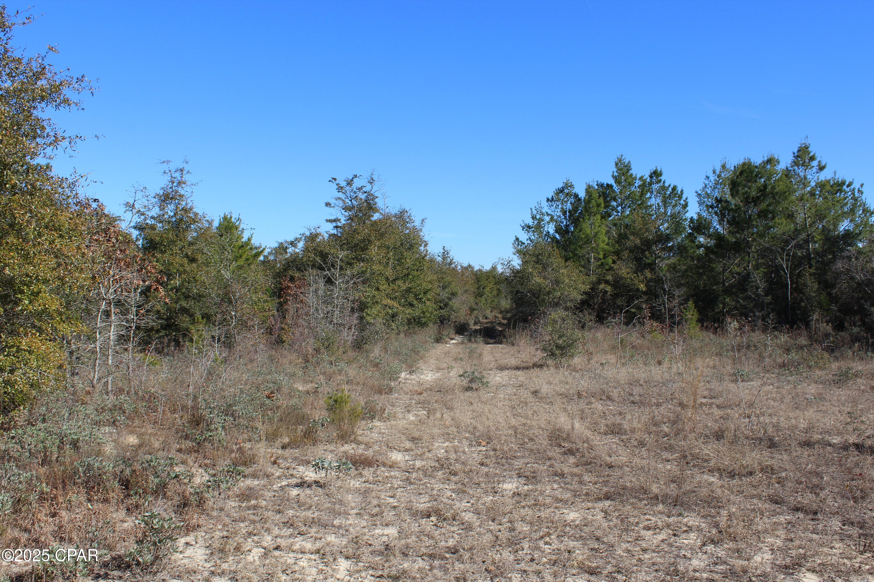 TBD Holmes Valley Road