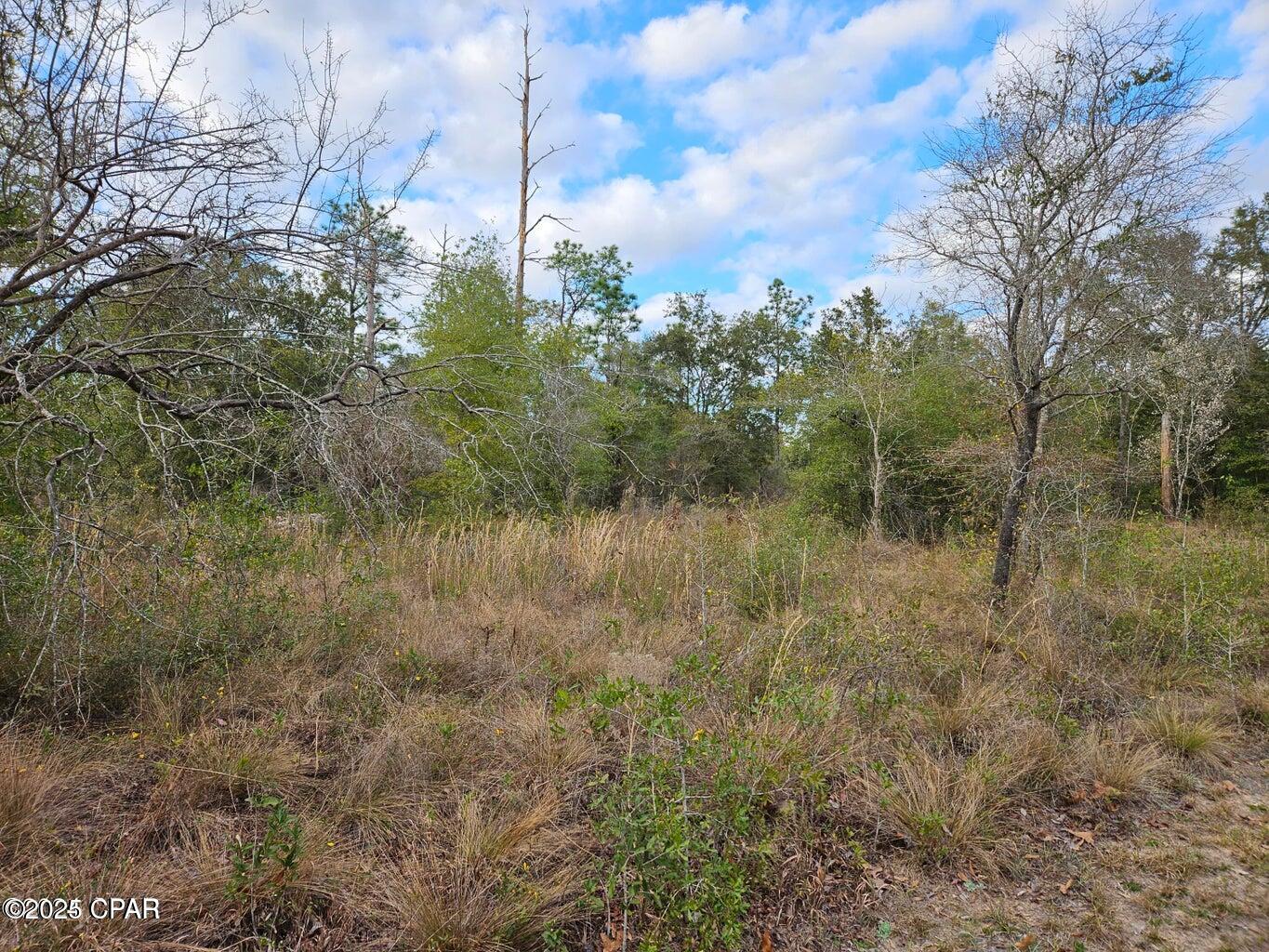 Lot A-109 Leisure Lakes