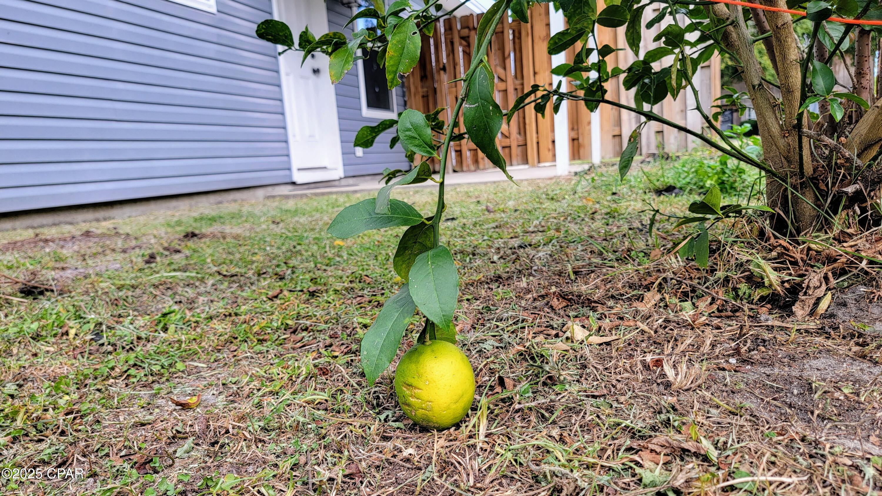 1545 Chandlee Avenue