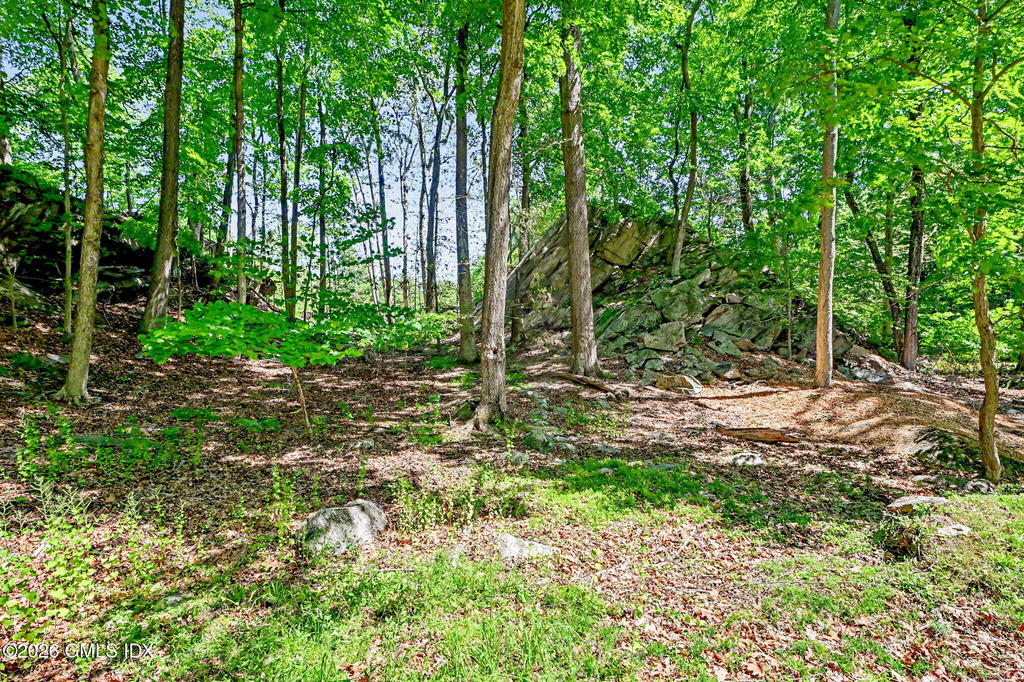 424 Cognewaugh Road