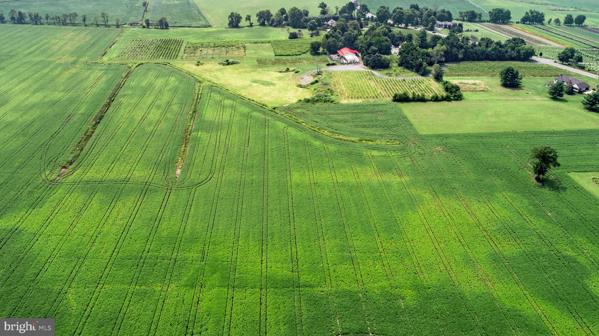 26750 Mount Pleasant Rd