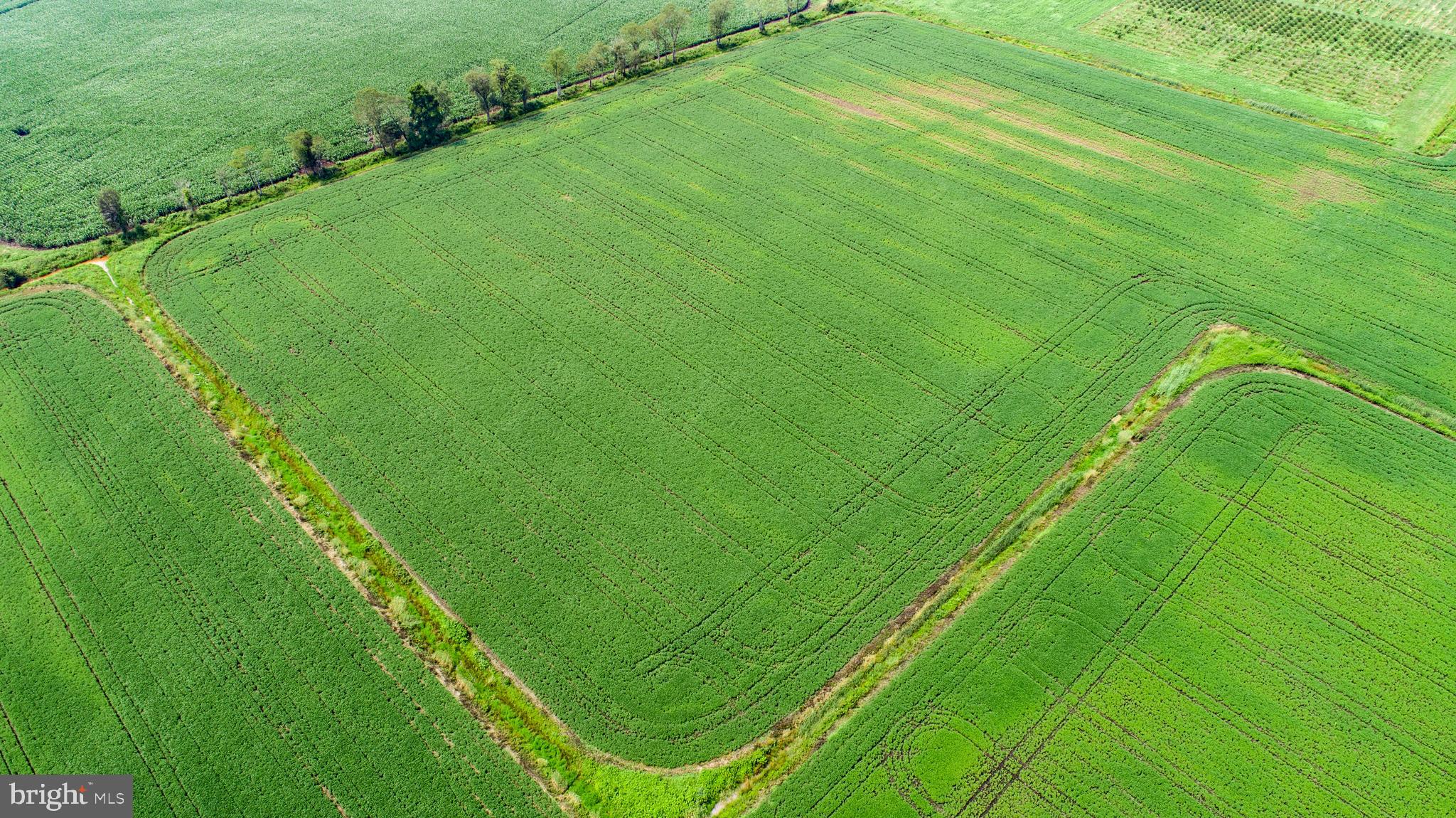 26750 Mount Pleasant Rd