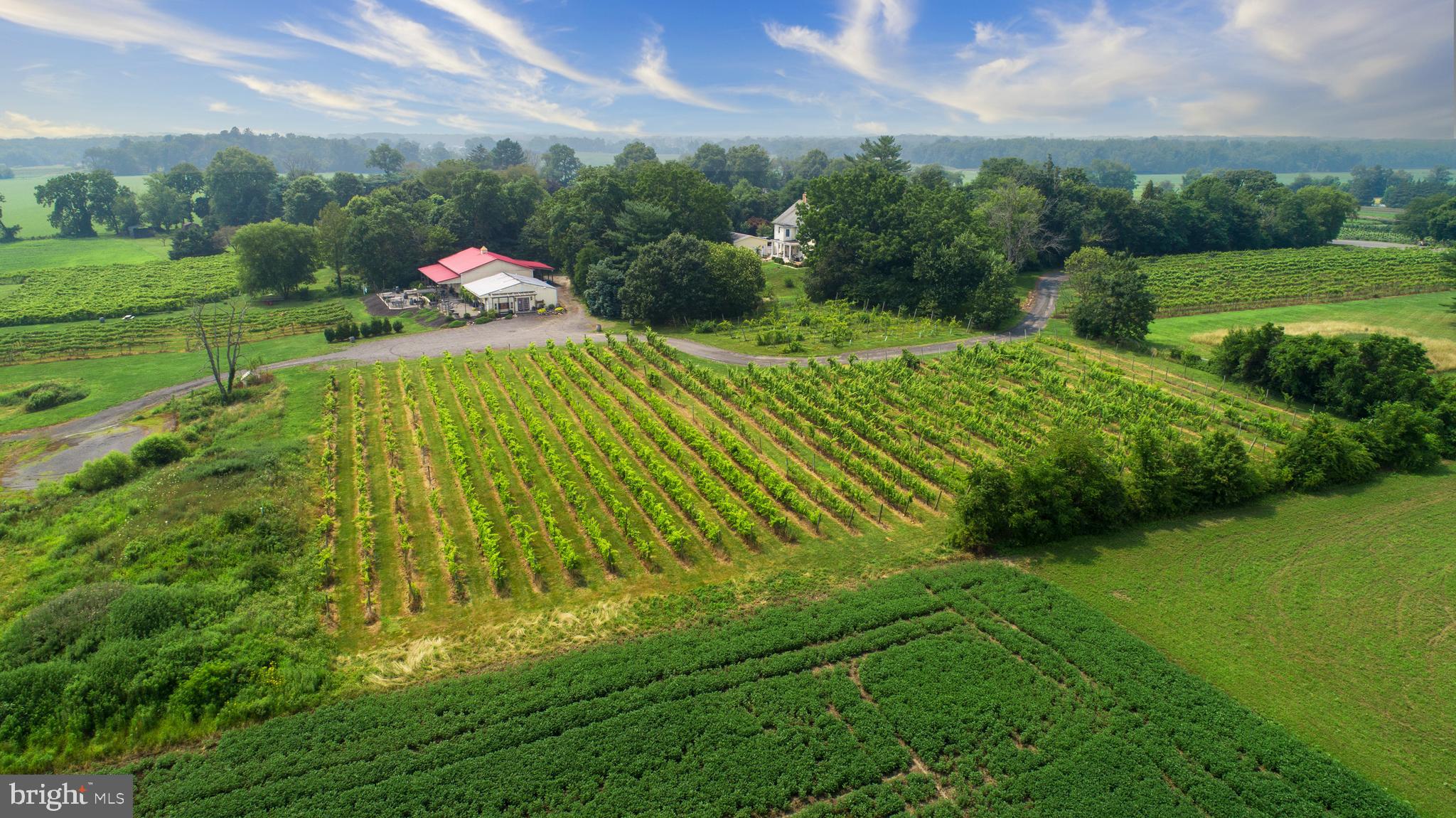 26750 Mount Pleasant Rd