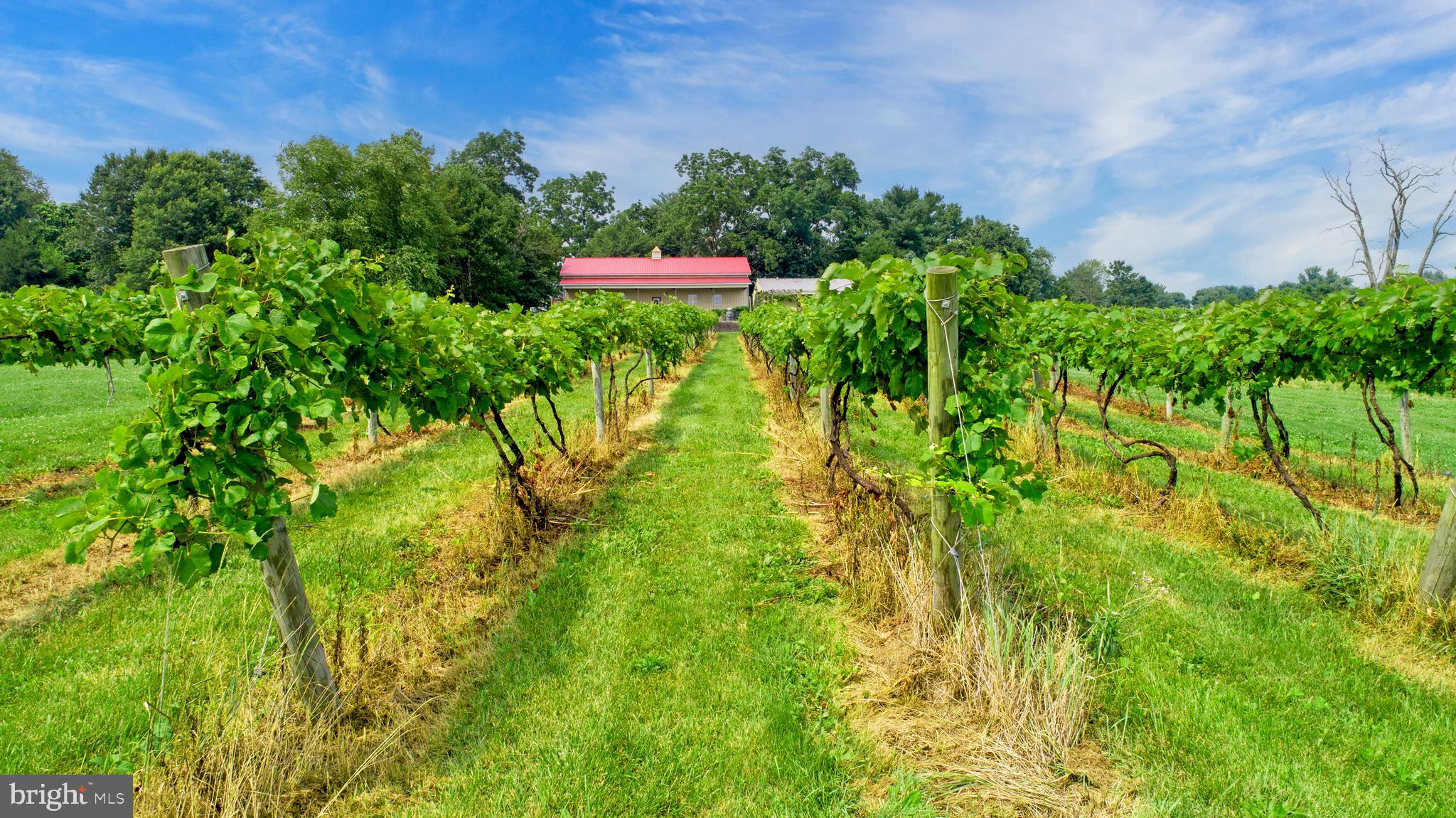 26750 Mount Pleasant Rd