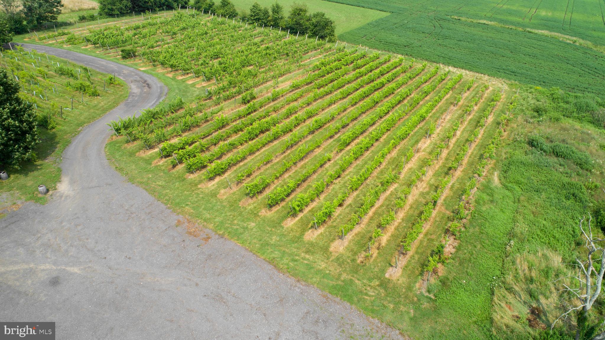 26750 Mount Pleasant Rd