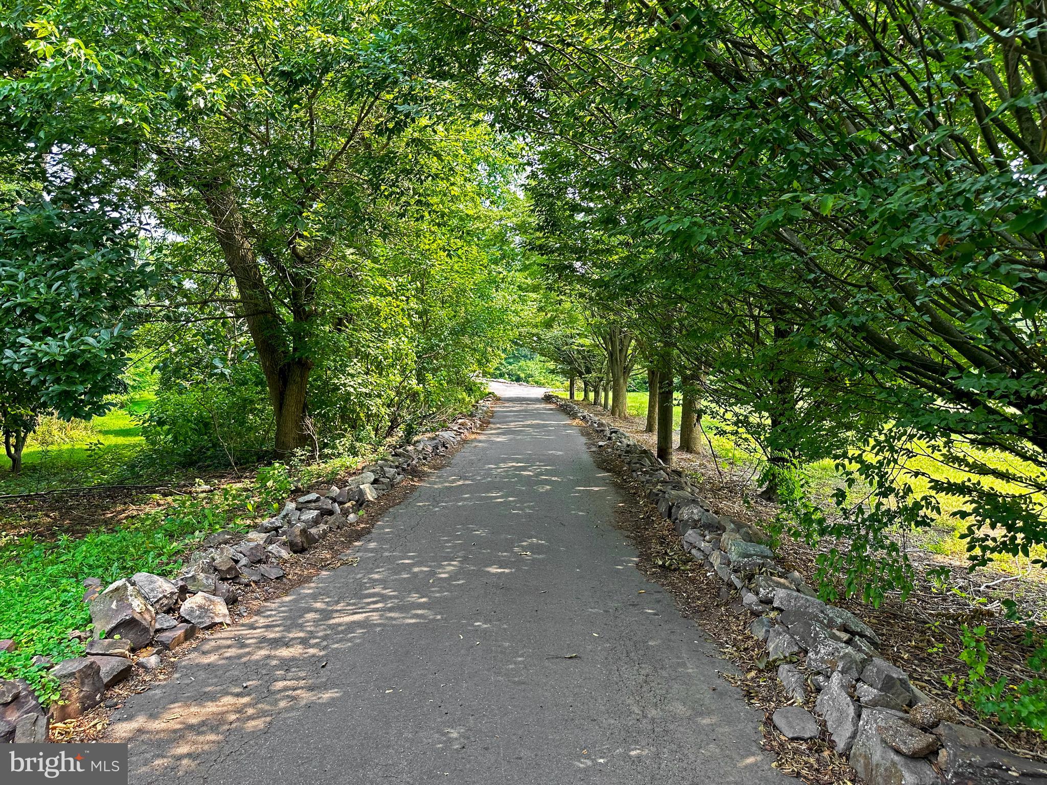 26750 Mount Pleasant Rd