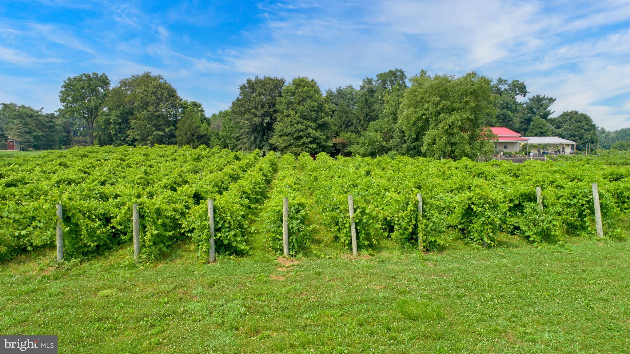 26750 Mount Pleasant Rd