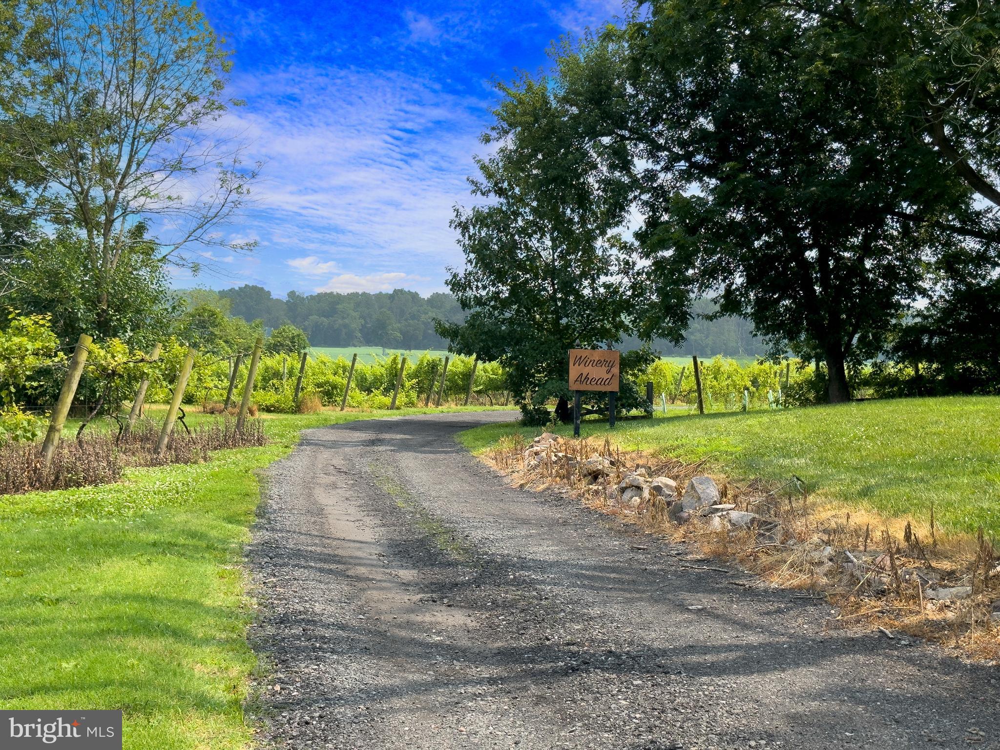 26750 Mount Pleasant Rd