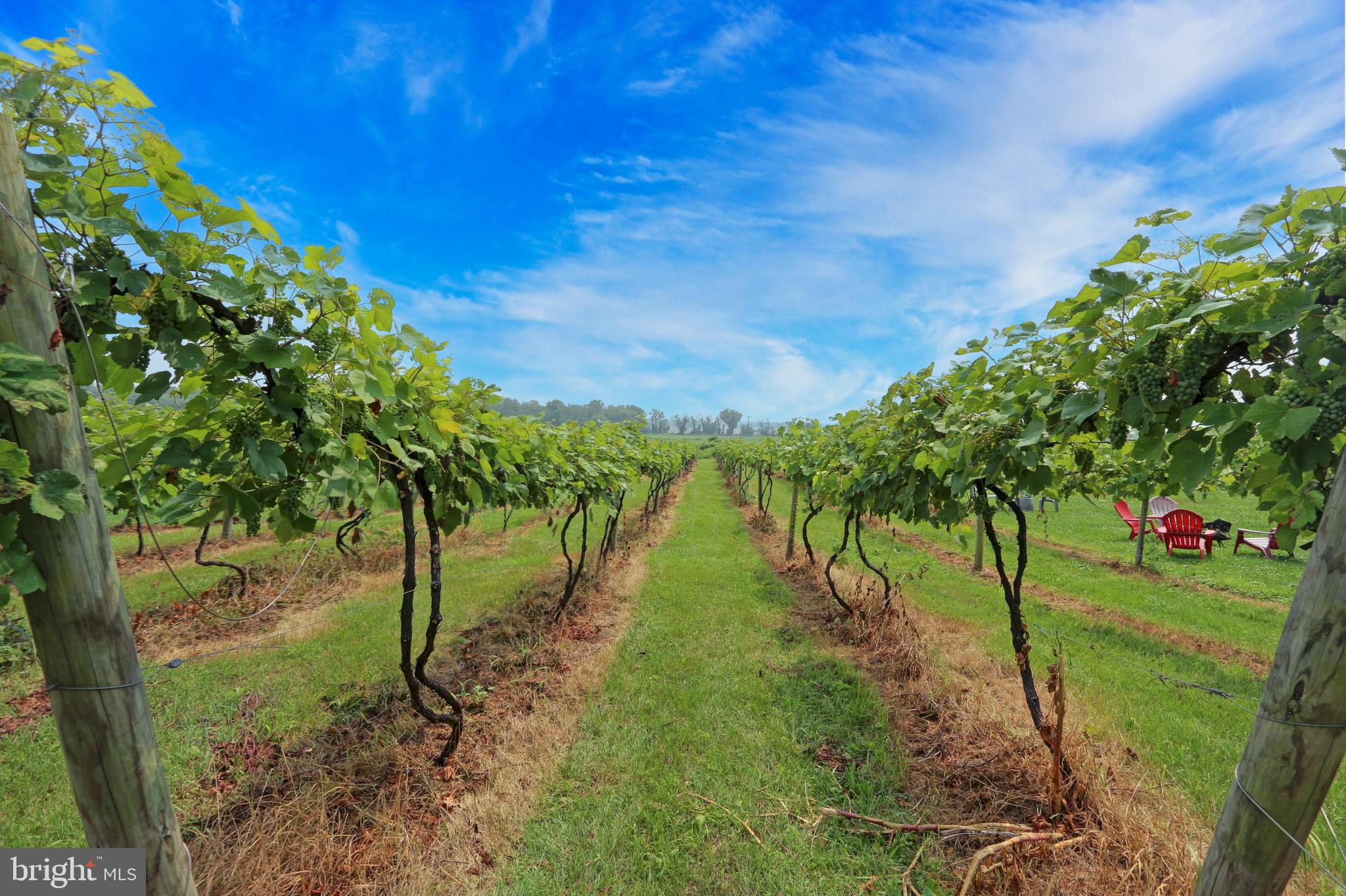 26750 Mount Pleasant Rd