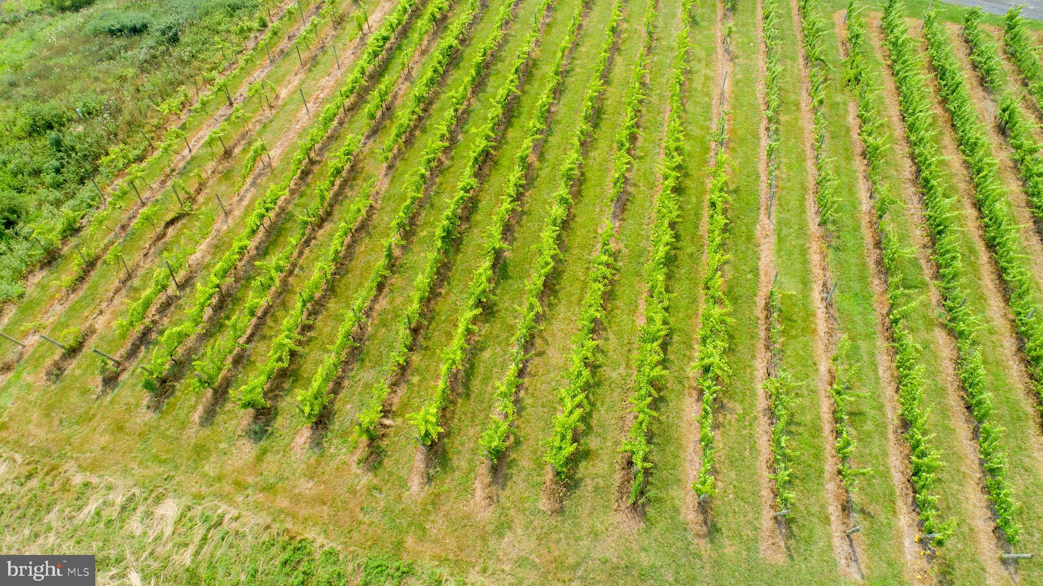 26750 Mount Pleasant Rd