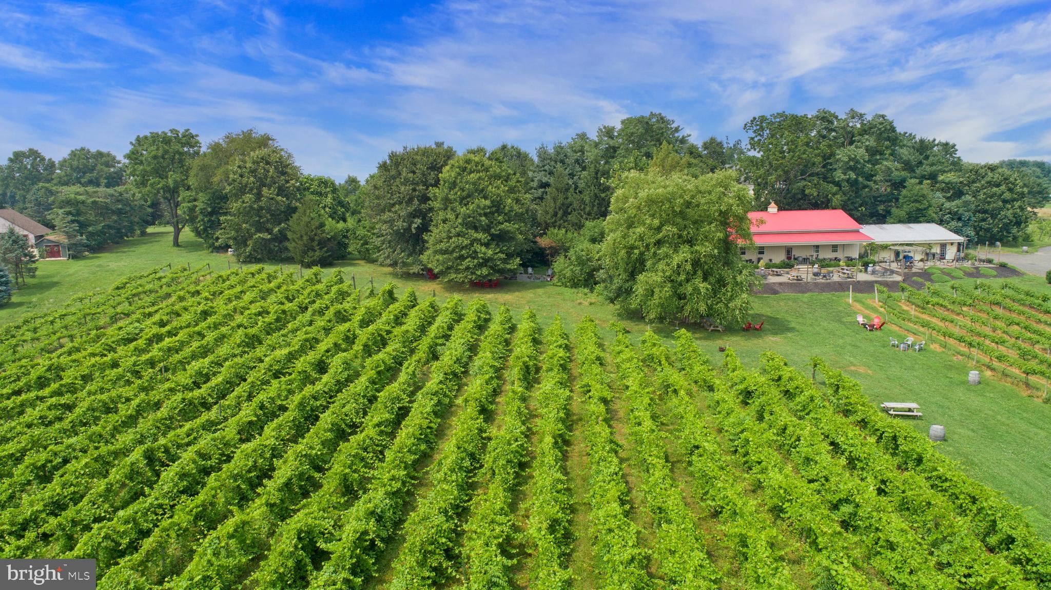 26750 Mount Pleasant Rd