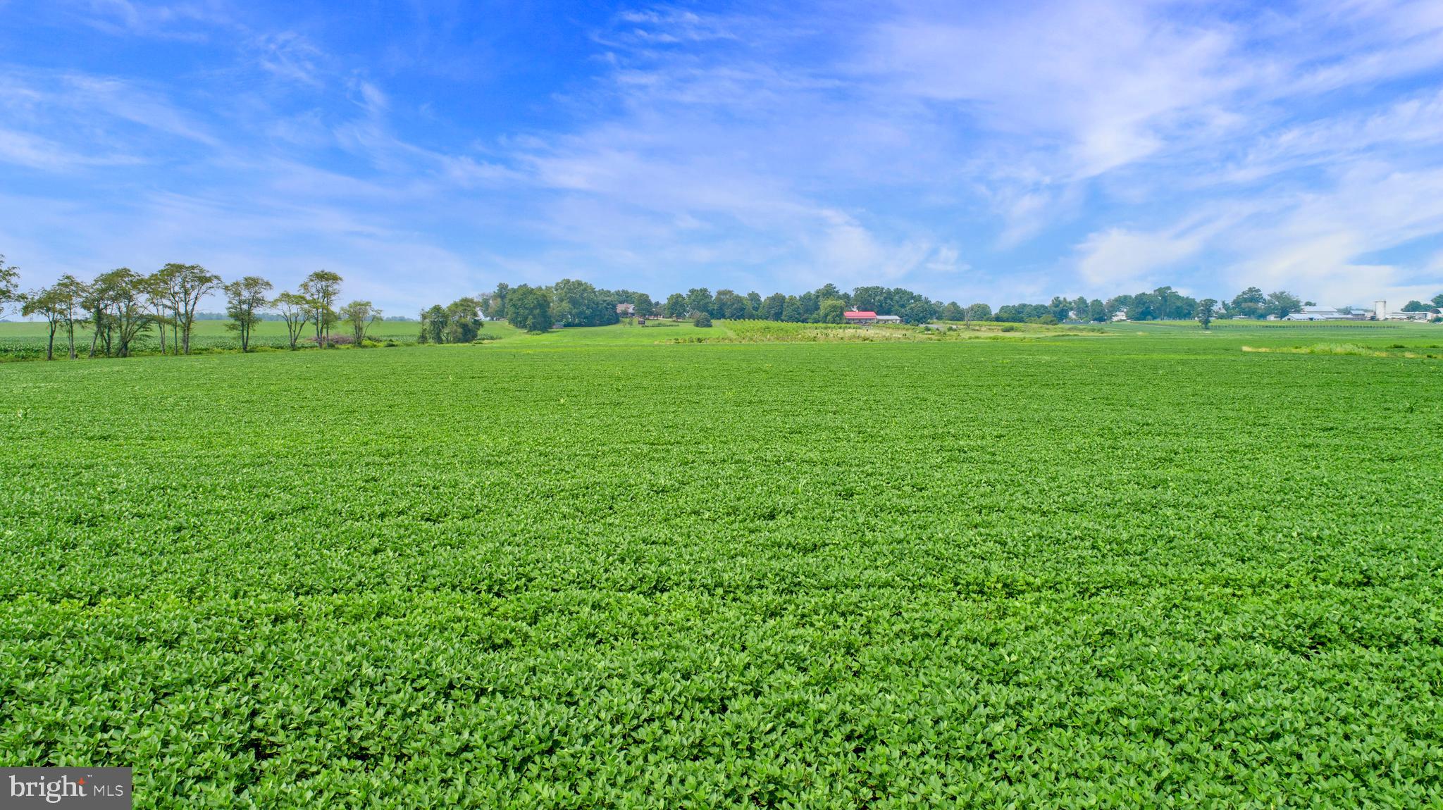 26750 Mount Pleasant Rd