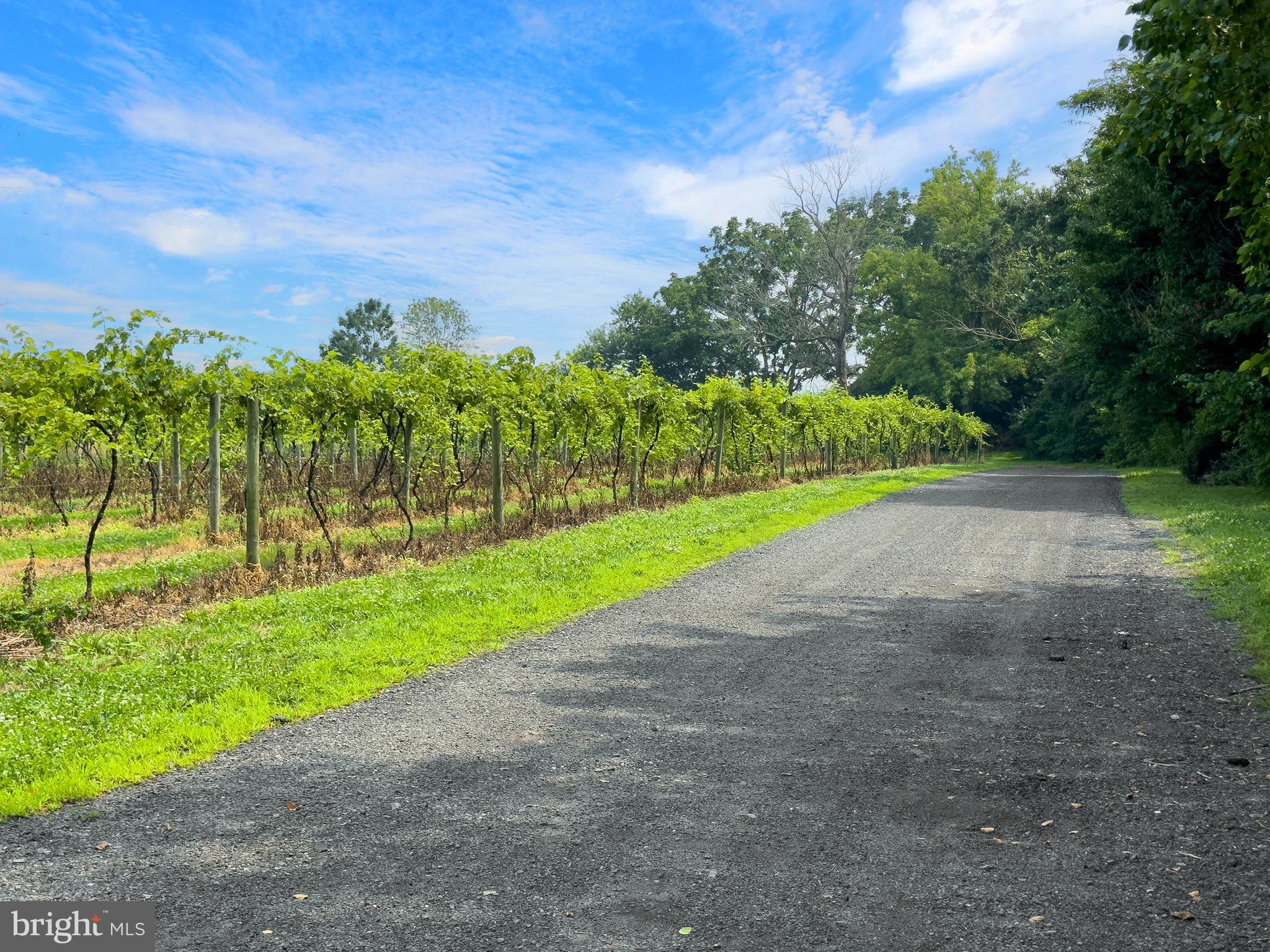 26750 Mount Pleasant Rd