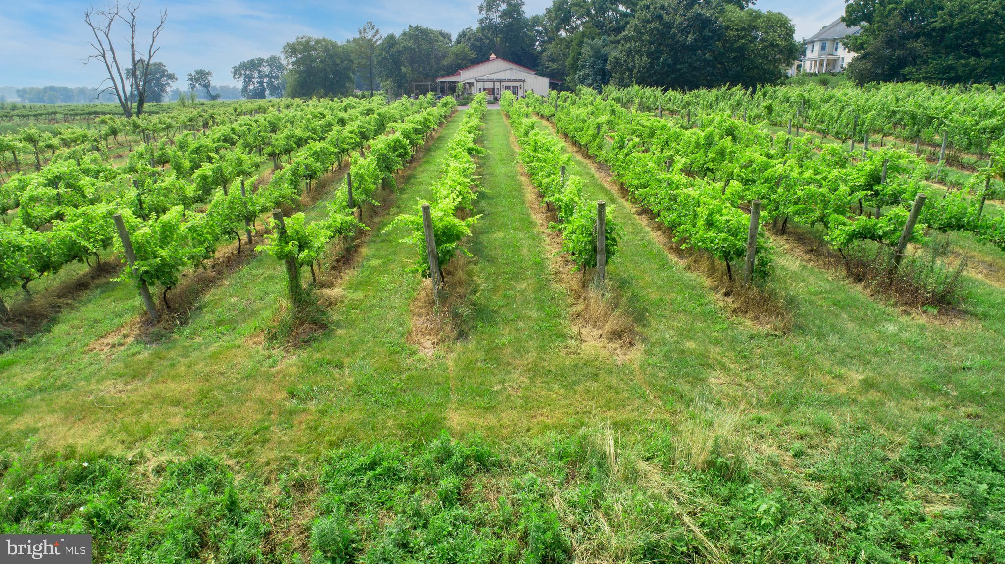 26750 Mount Pleasant Rd