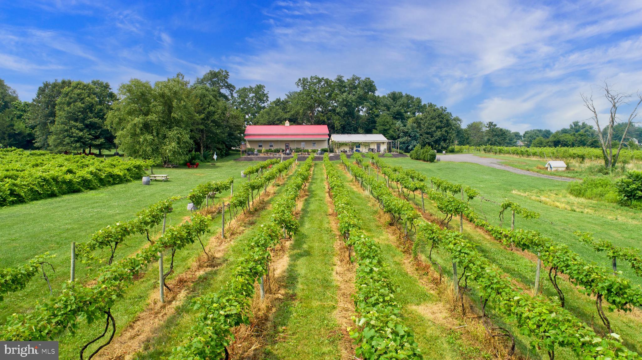 26750 Mount Pleasant Rd