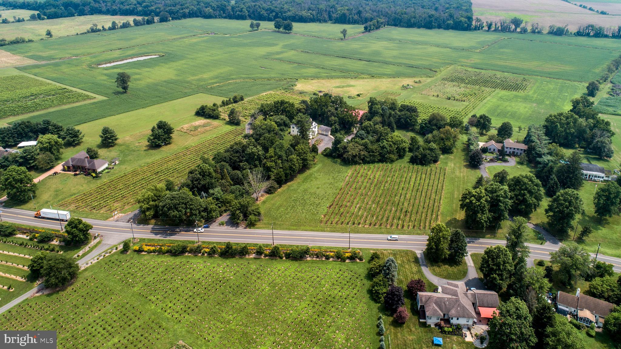 26750 Mount Pleasant Rd