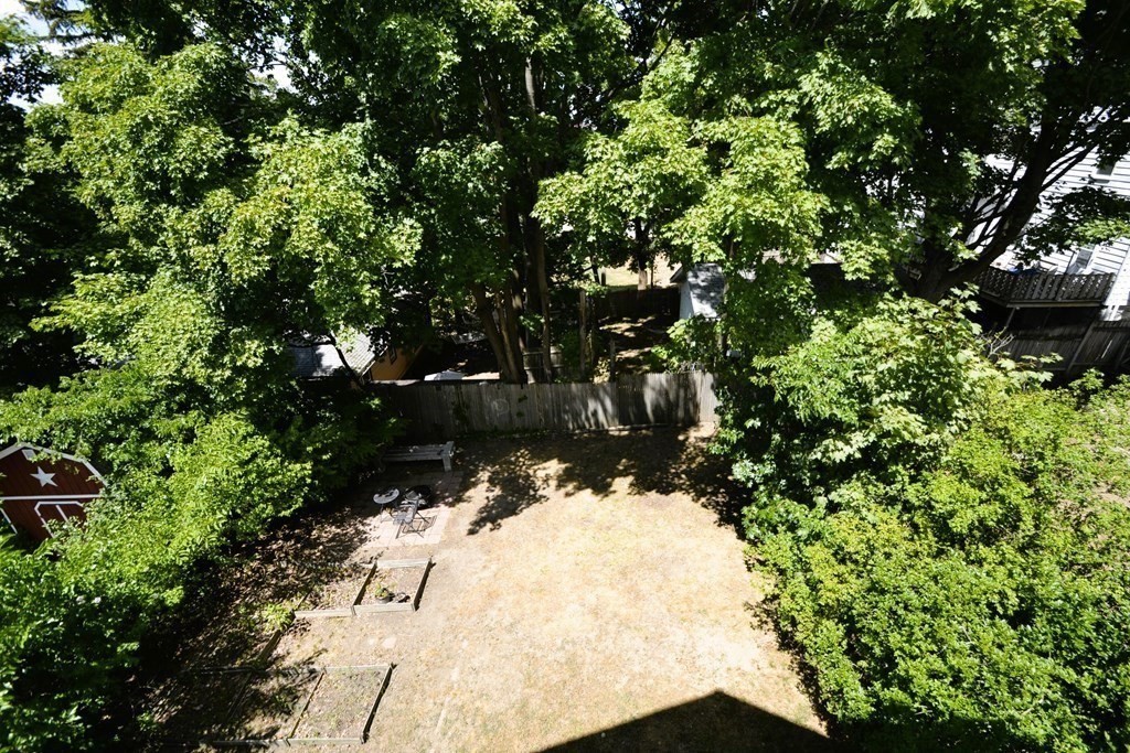 41 Marion Street Unit: 3