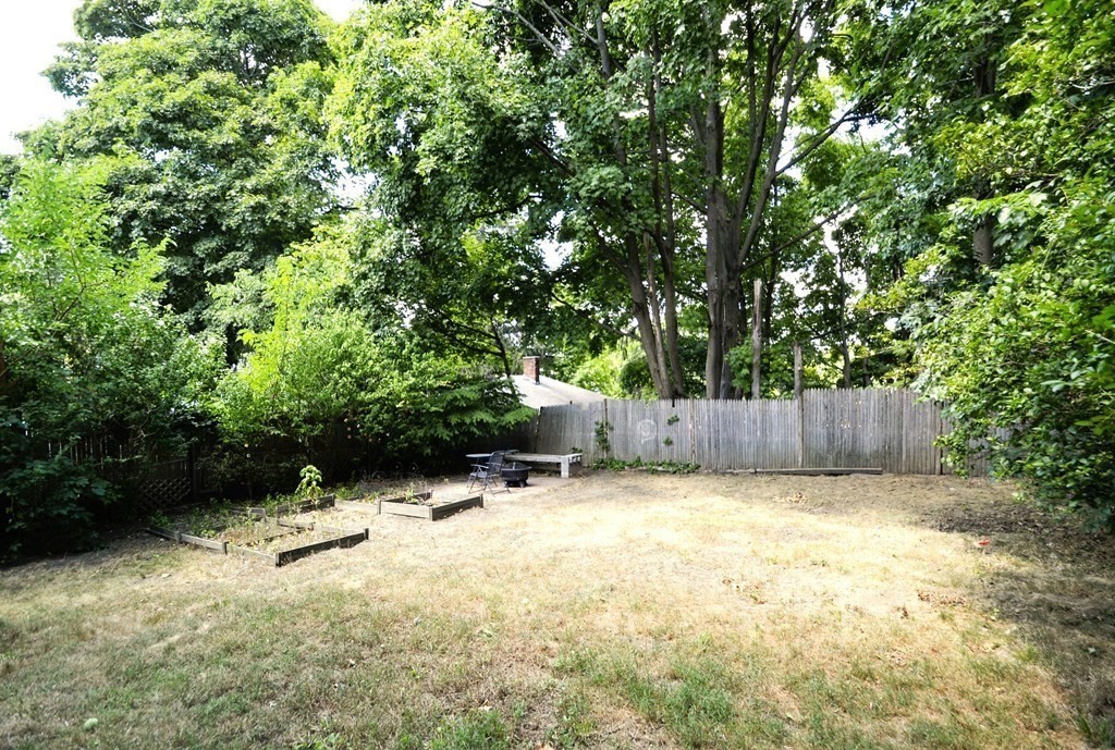 41 Marion Street Unit: 3