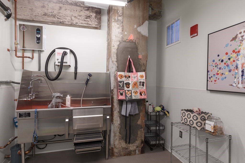9 Medford St Unit: 313