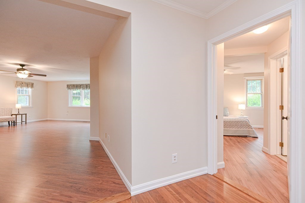 4 Bellingham St.
